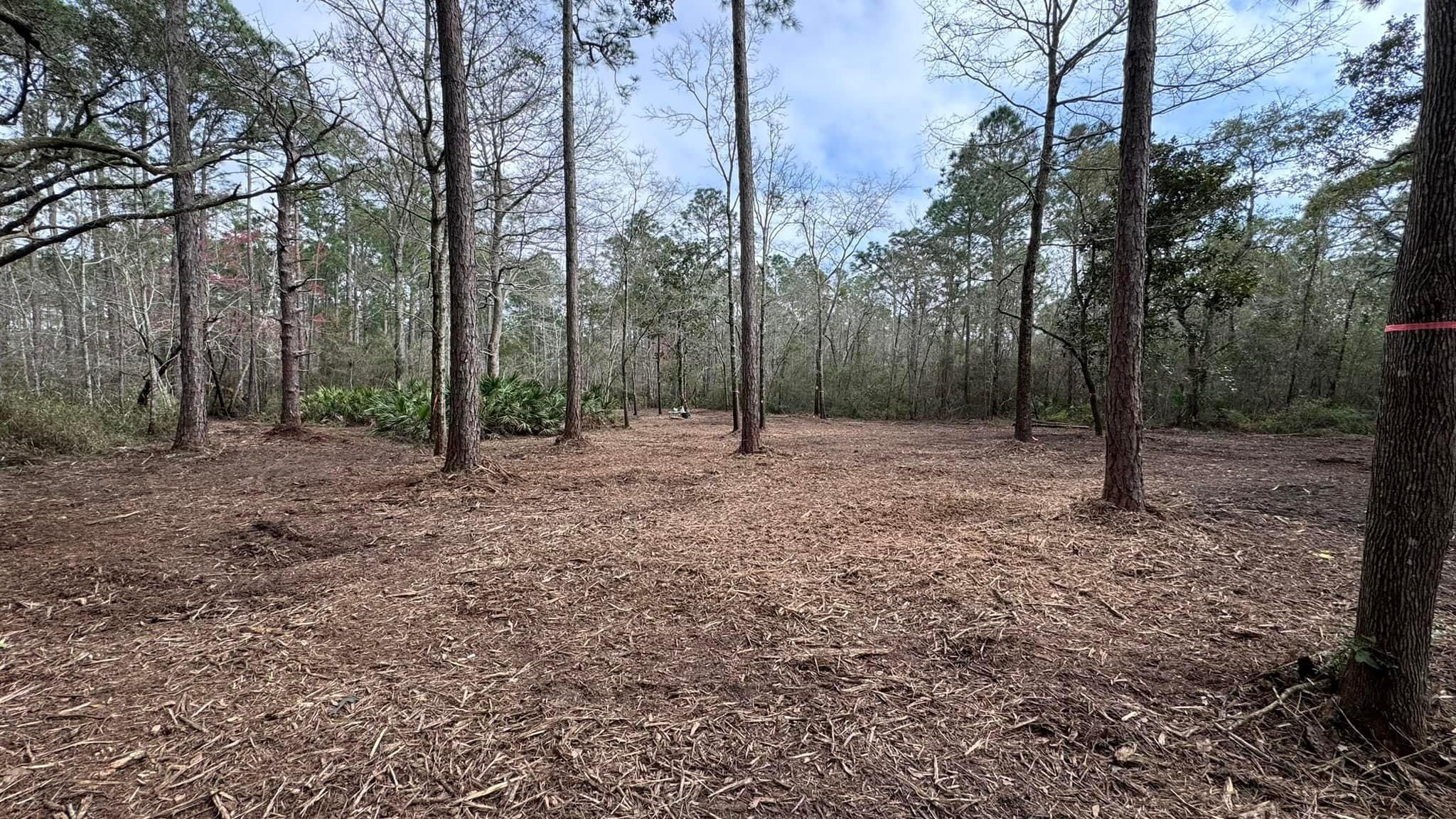  for White’s Land Maintenance in Milton,, FL