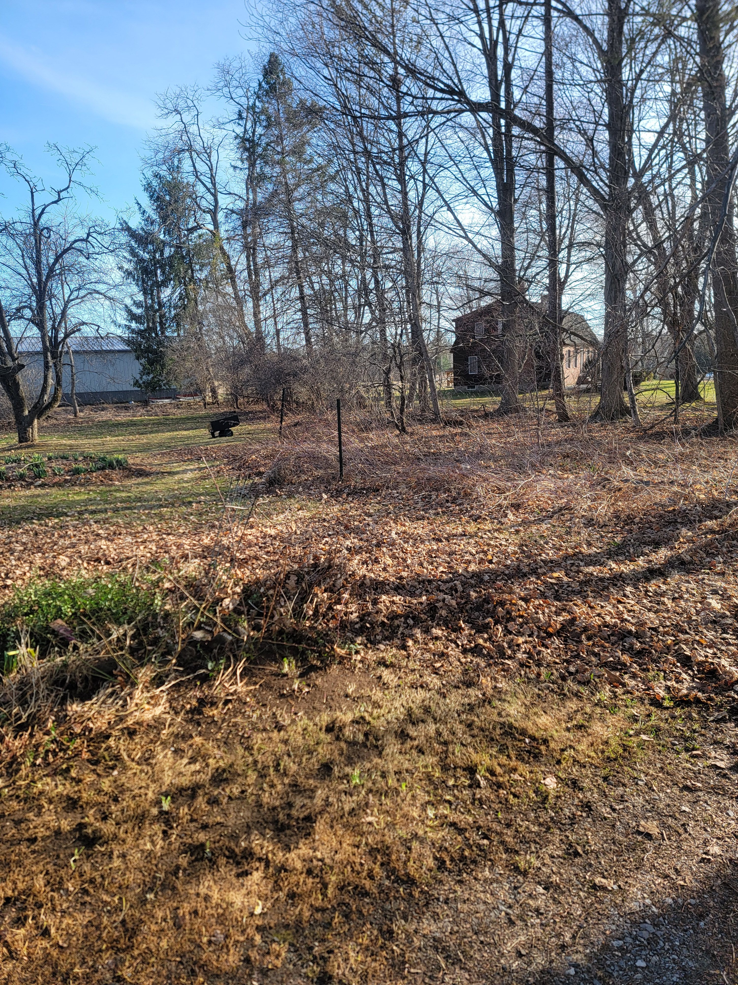  for Sweet Scapes in Ballston Spa, NY
