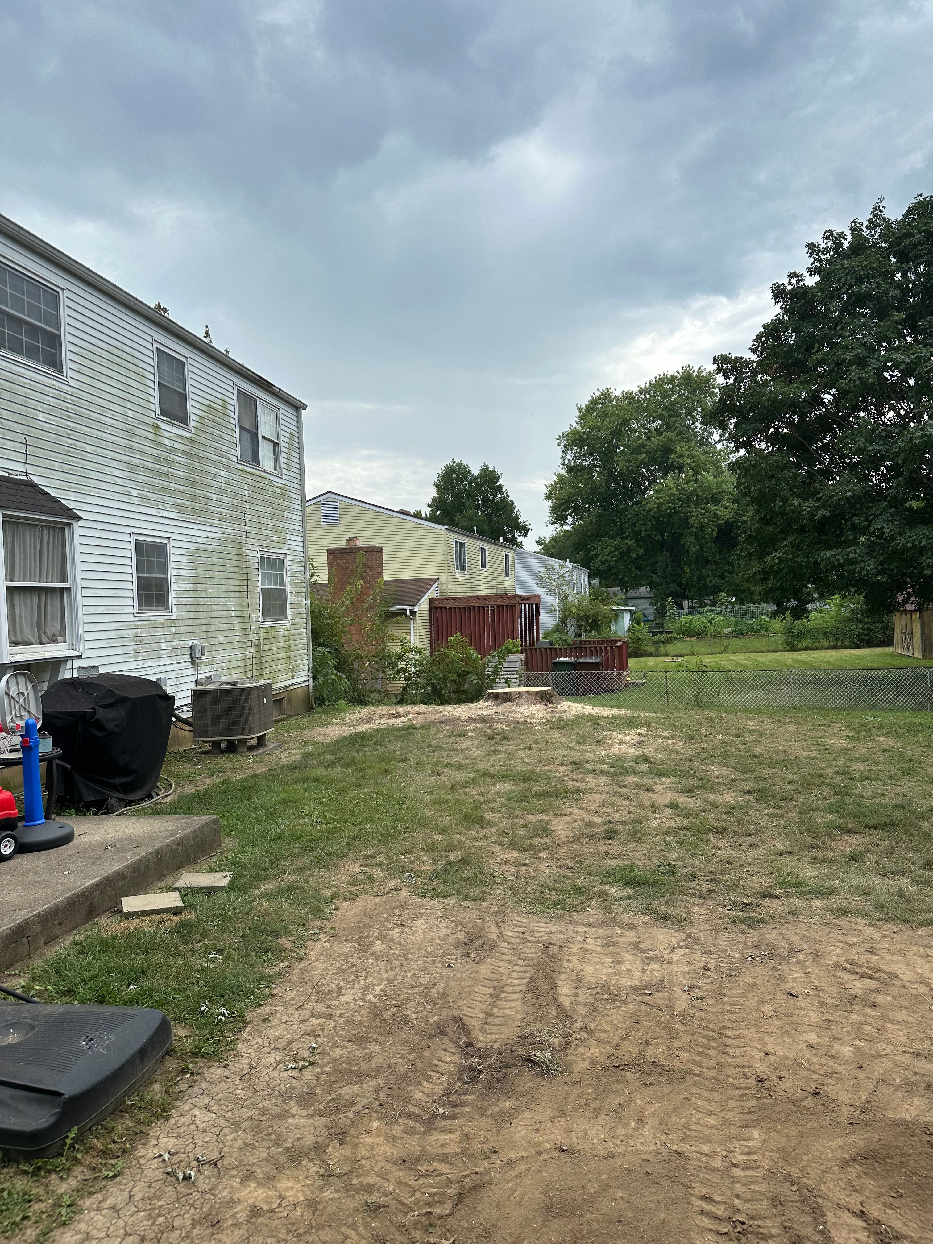 All Photos for Pro Tree Trim & Removal, Llc in Dayton, OH