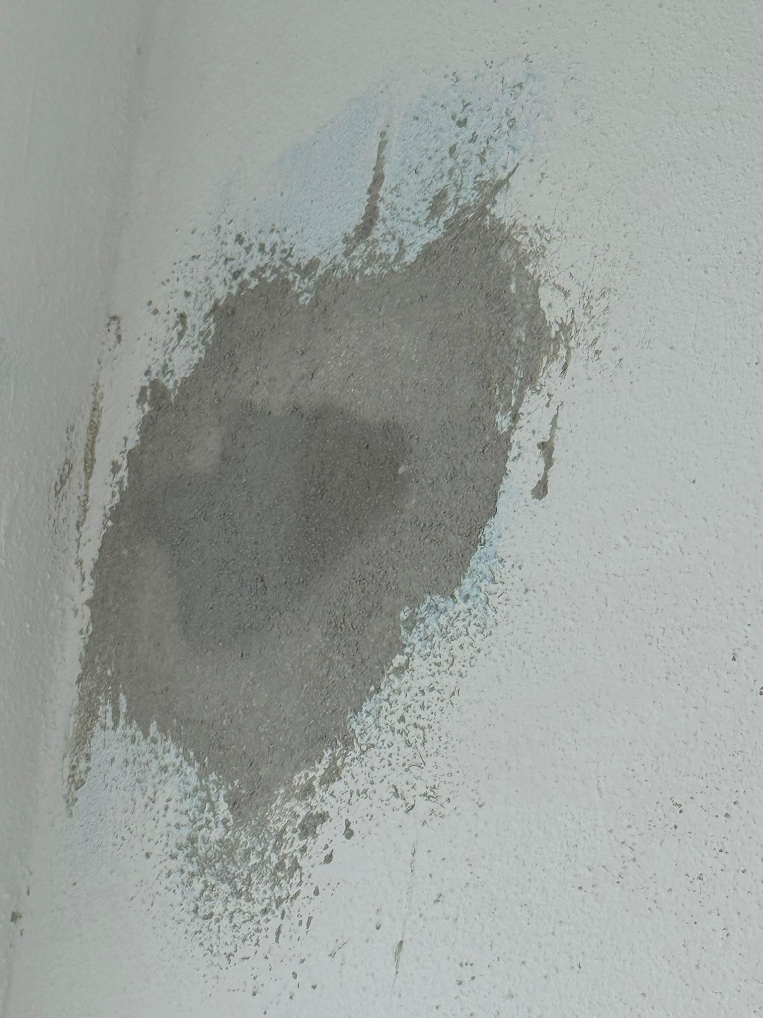  for Escorpio Painting in Tampa, FL