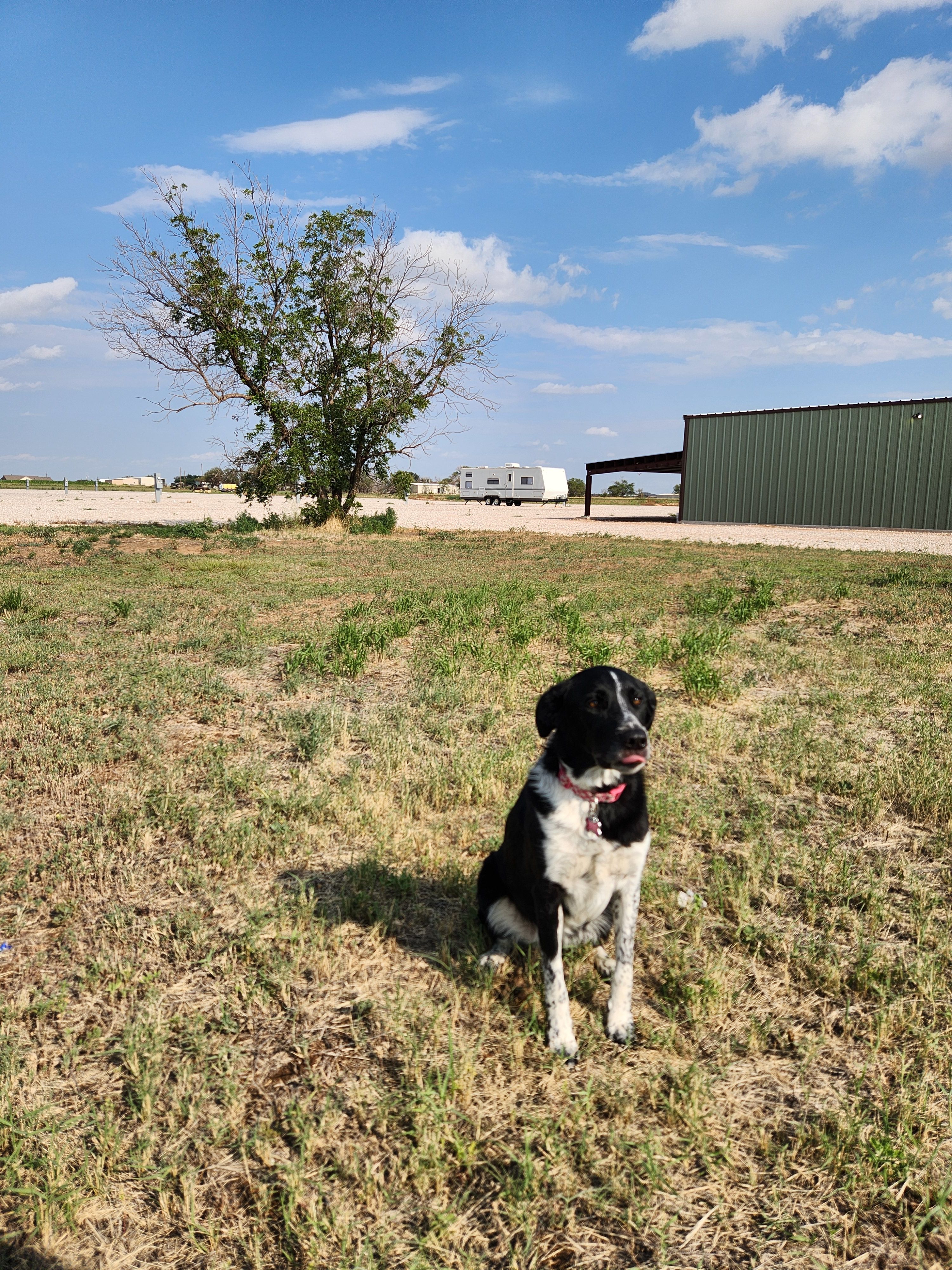 All Photos for Prairie Land Properties LLC in Lubbock, TX