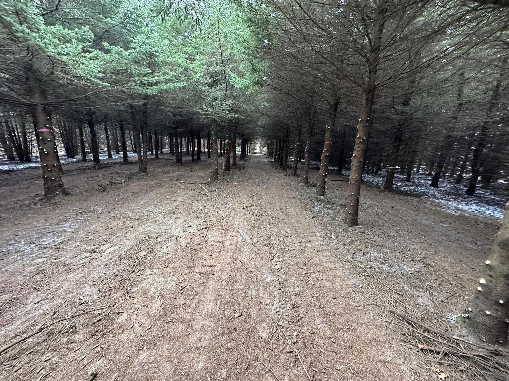  for 608 Earthworks in Marshall, WI