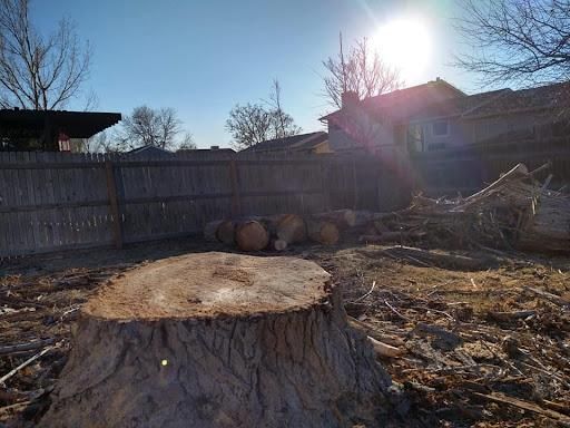  for Sloan Tree Service in Aurora, CO