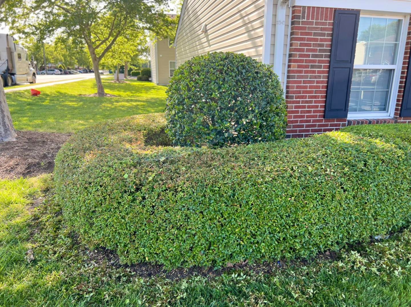 All Photos for Eddie’s Lawn Care in Chesapeake, VA