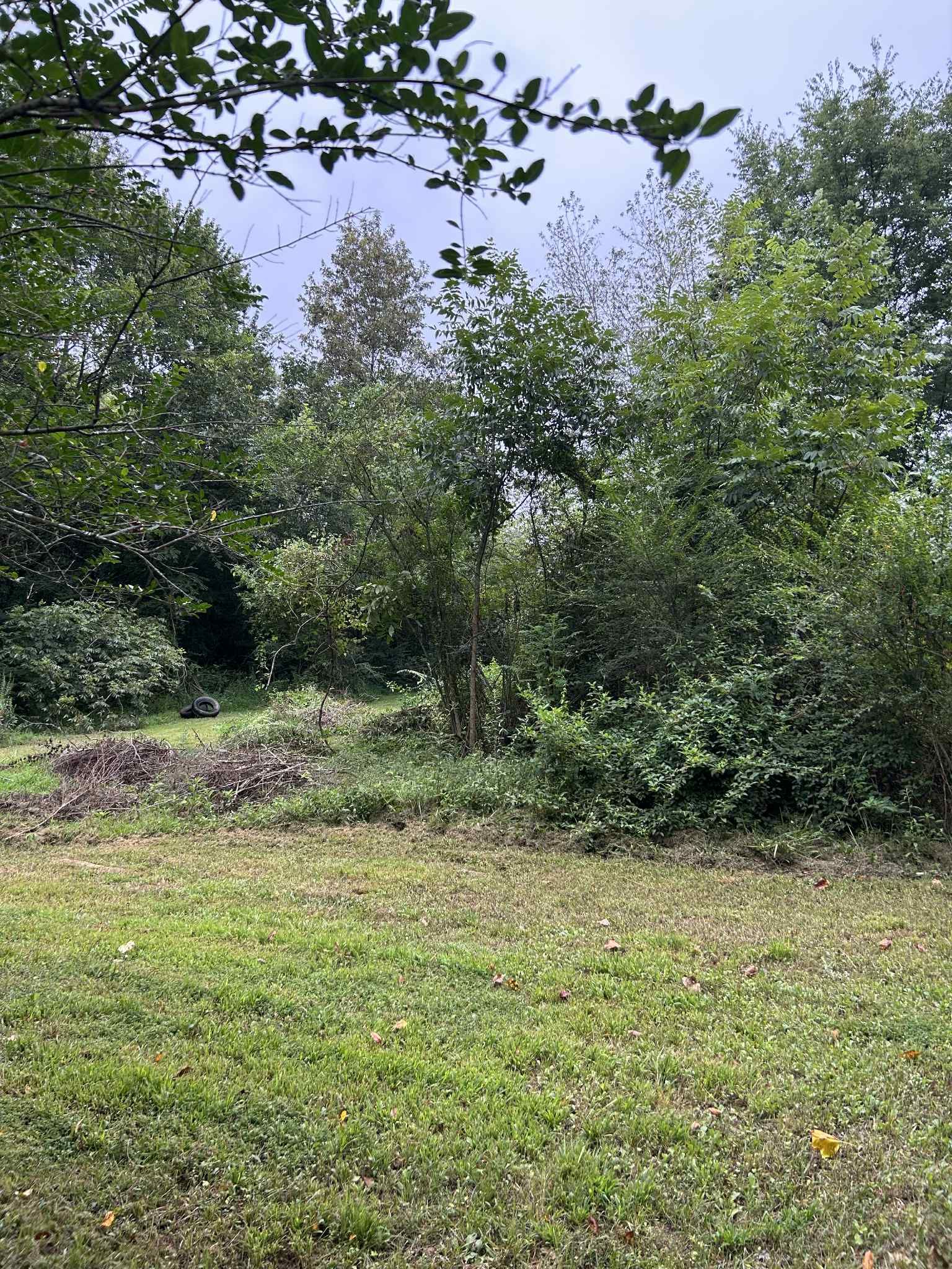  for Z's Land Management & Forestry Mulching in Smithville, TN