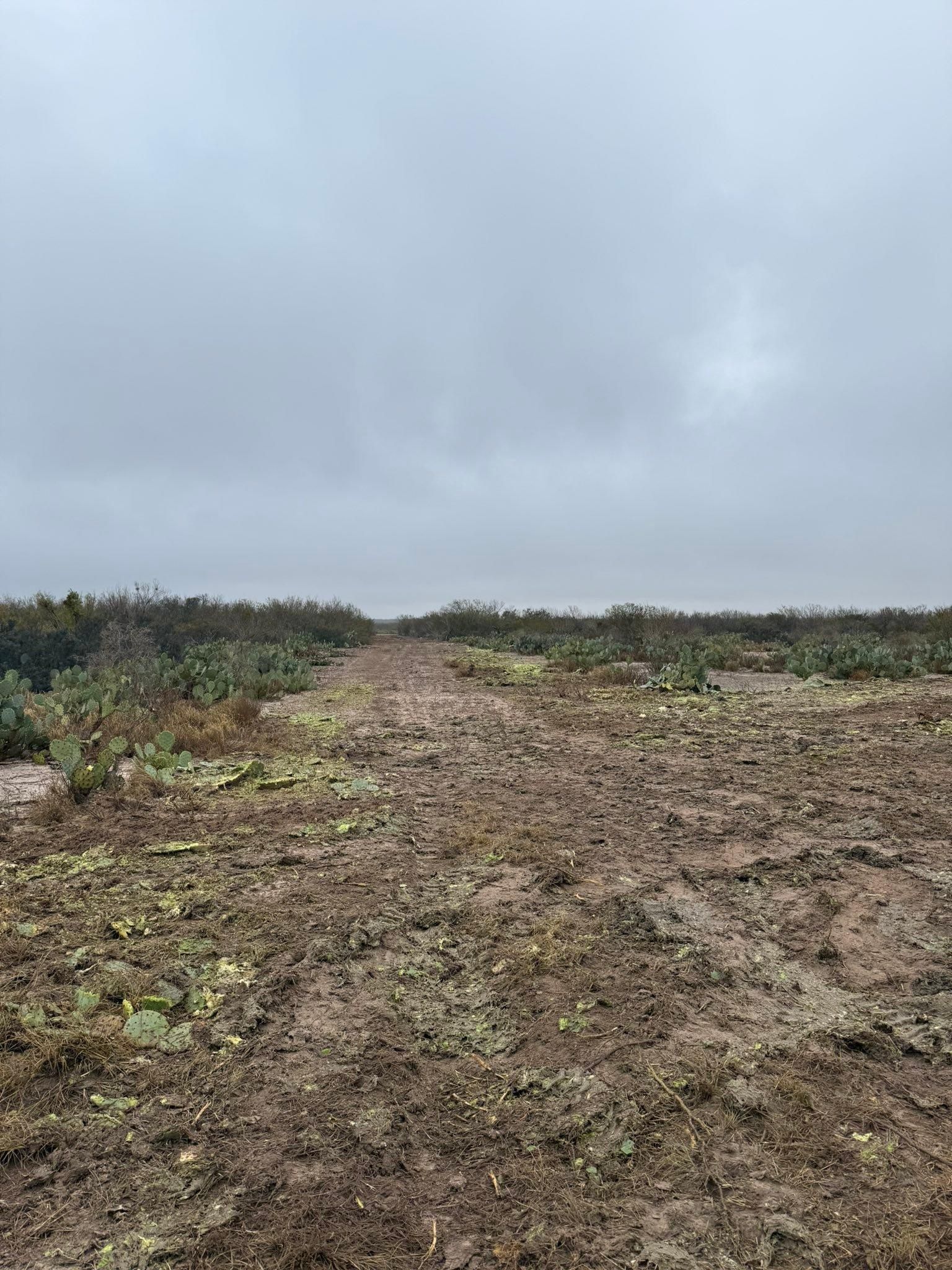  for Strause Land Improvement & Construction in George West, TX