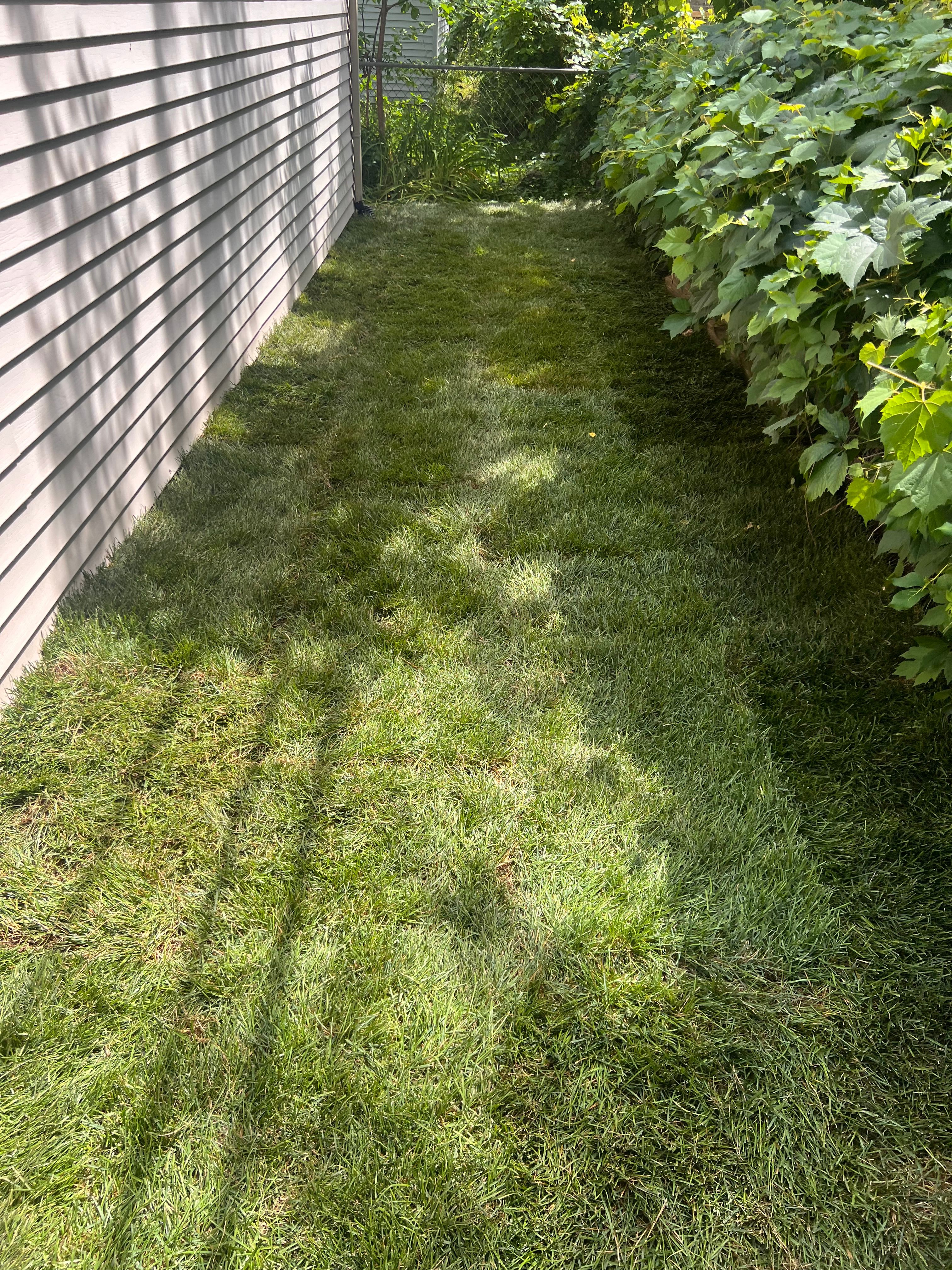  for Alltimate Outdoor Services in Warren, MI