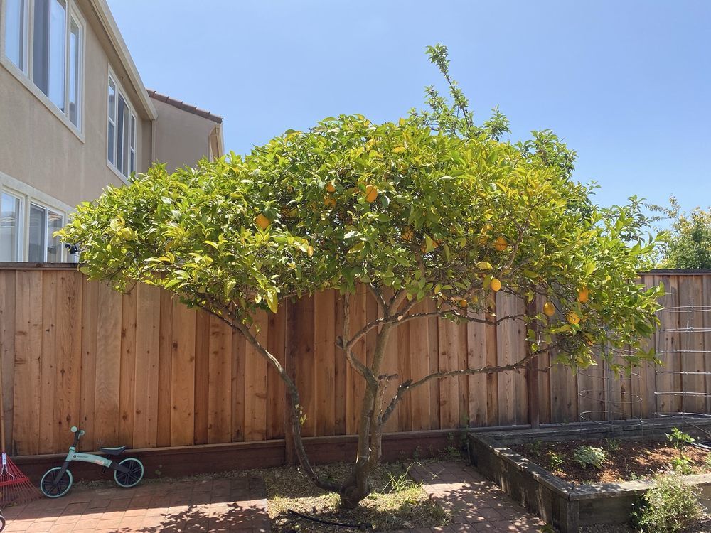  for CBA Landscaping in Hayward, CA