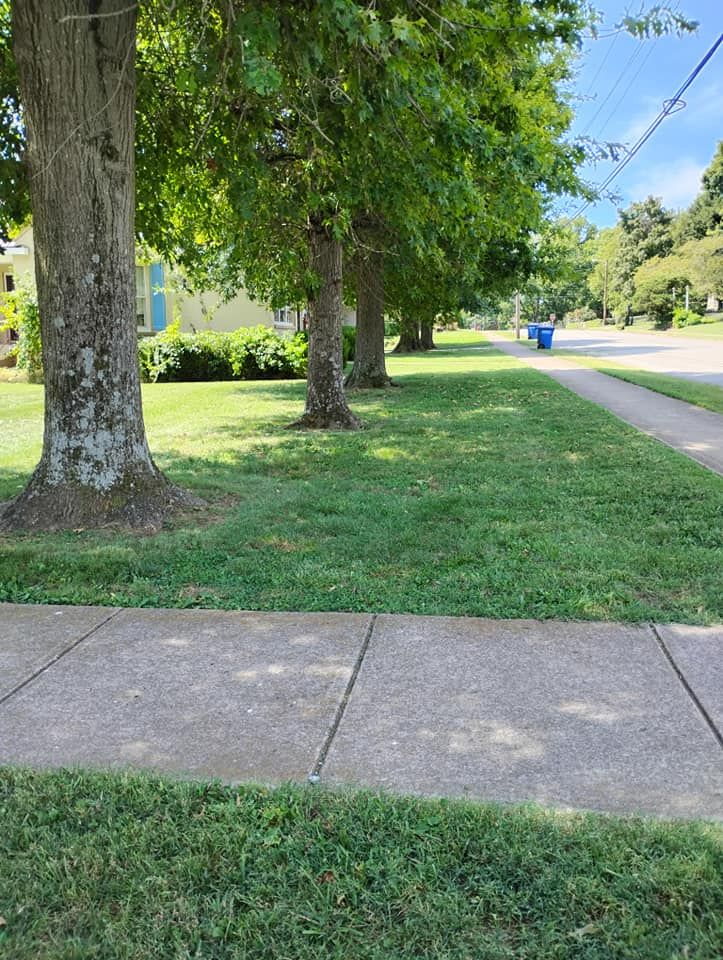 Lawn Care for Mark's Lawn Care in Mount Pleasant, TN