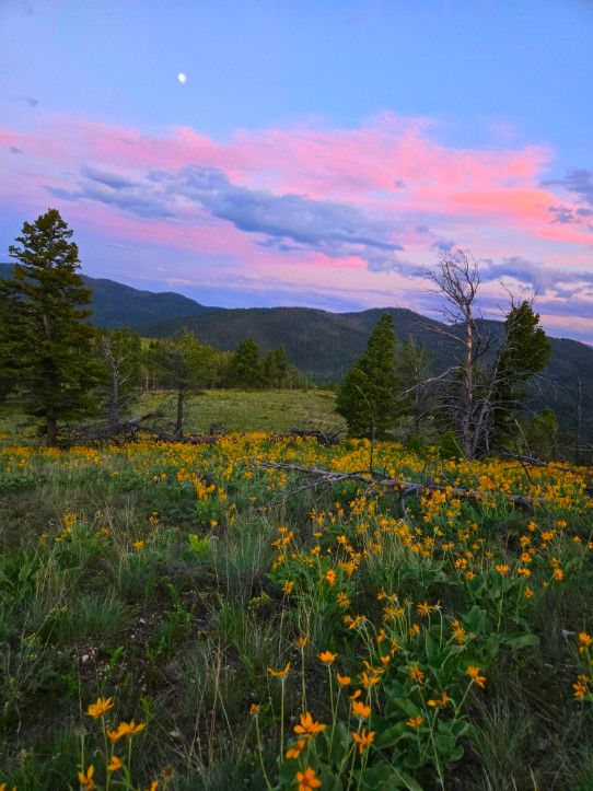  for Eagle Bay Lawn & Landscape LLC in Helena, MT
