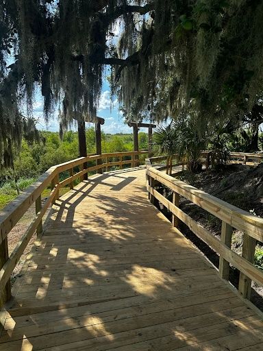 All Photos for Overkill Custom Construction Inc. in Lakeland, FL