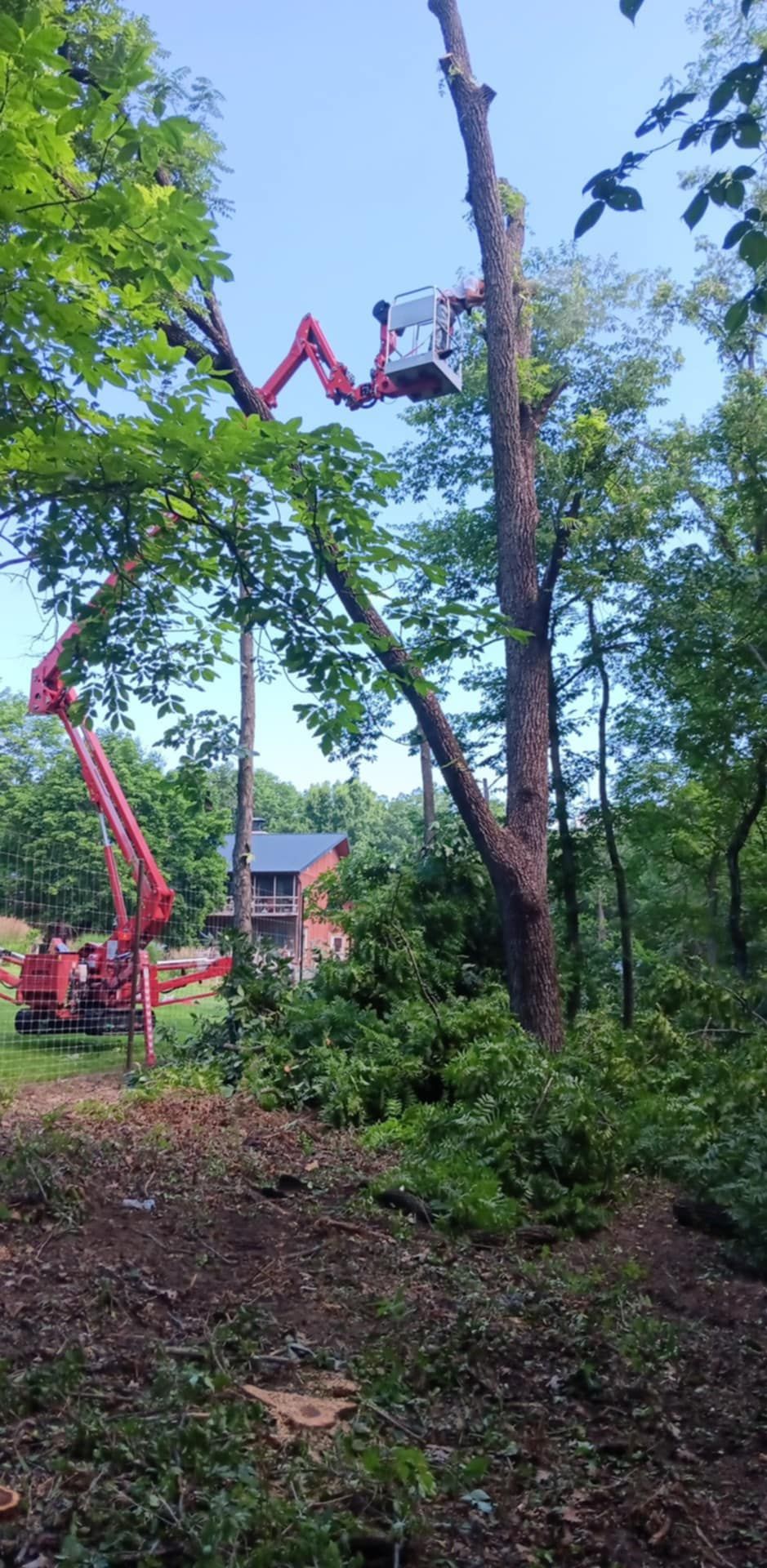  for Lawn Ranger Yard And Tree Service LLC in Ottumwa, IA