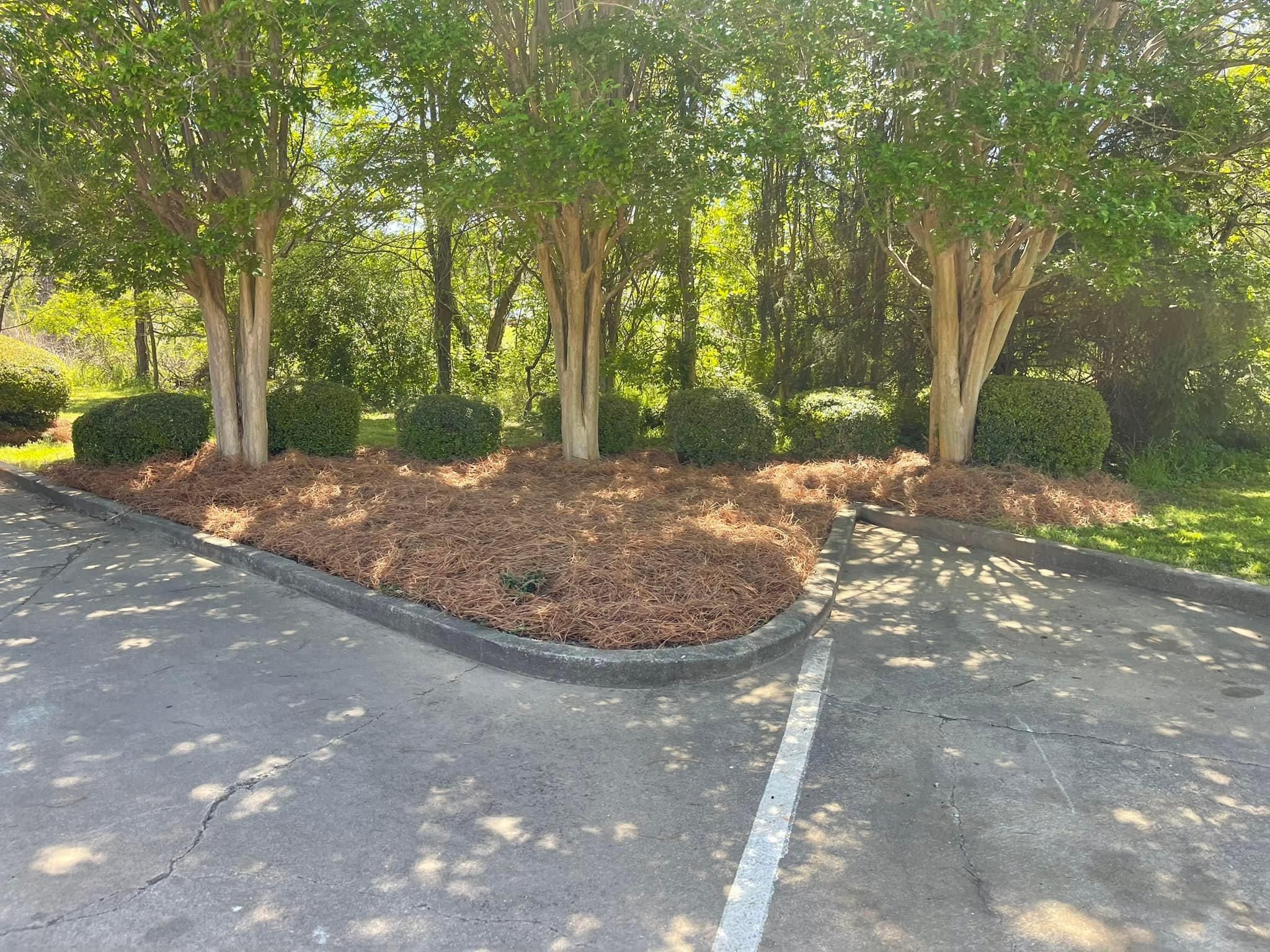  for Greenwood Lawn & Landscaping LLC in Talladega, Alabama