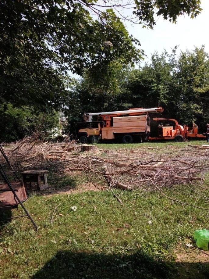  for Scott's Tree Service in Athens, TN