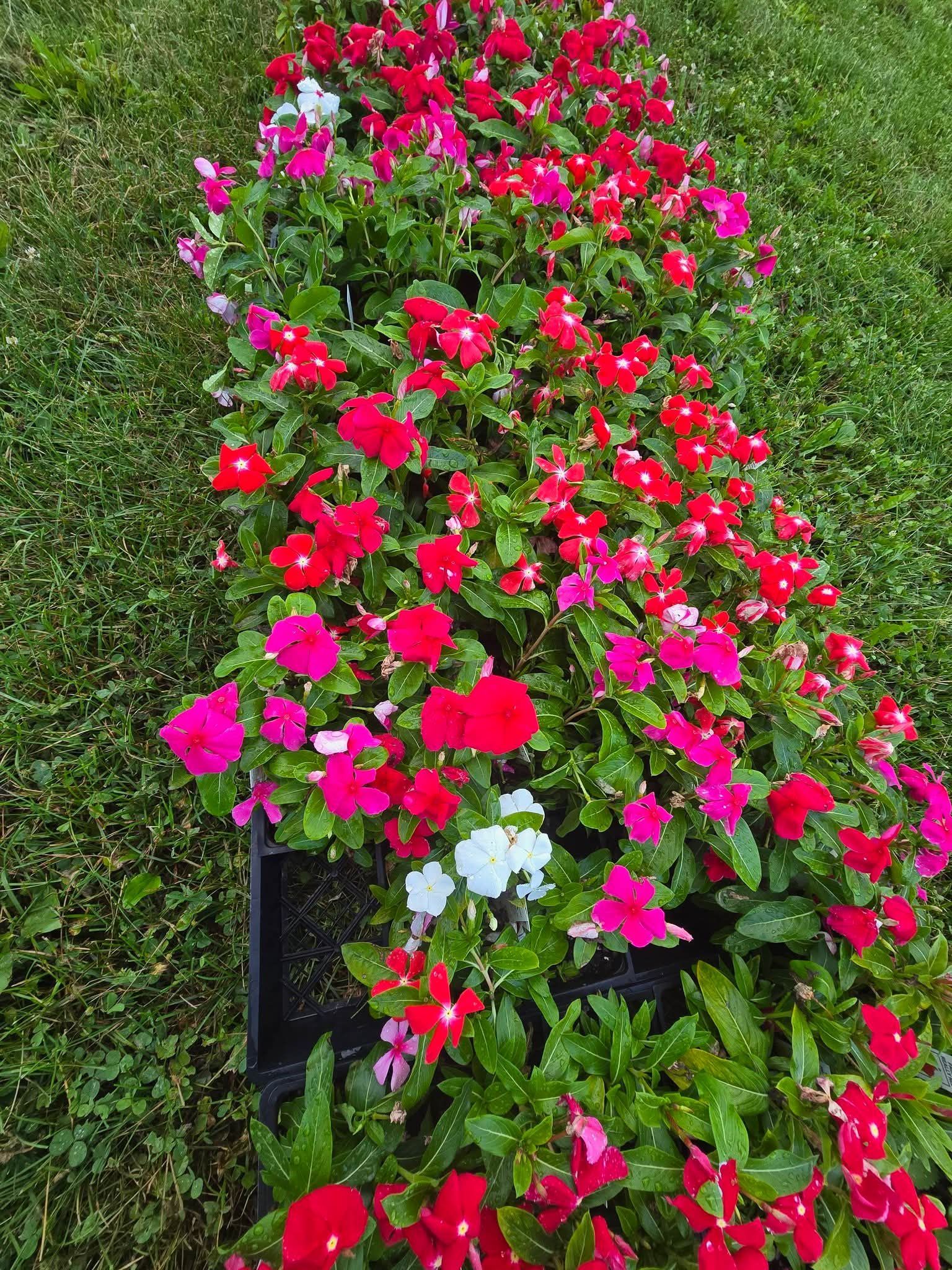  for Down Home Landscaping in Stillwater, PA