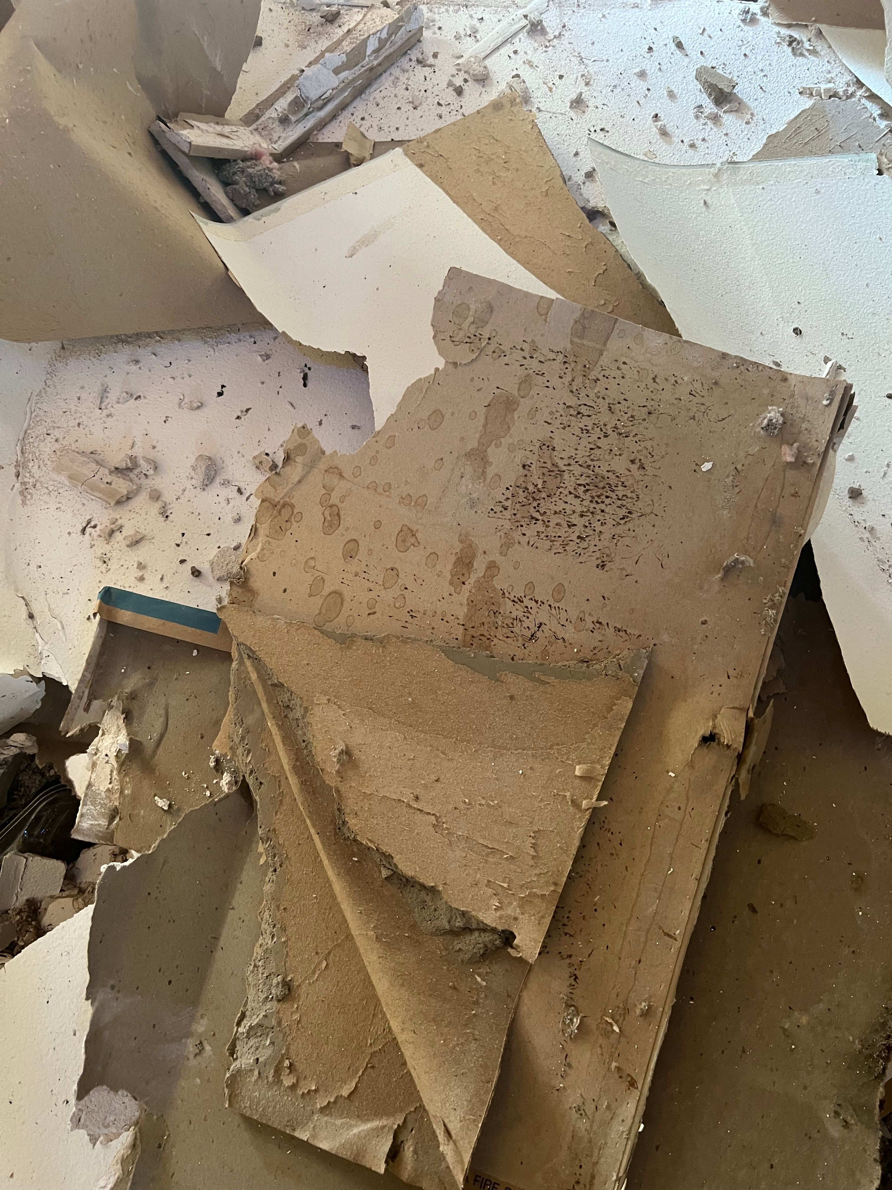  for N&D Restoration Services When Disaster Strikes, We Come In in Cape Coral,  FL