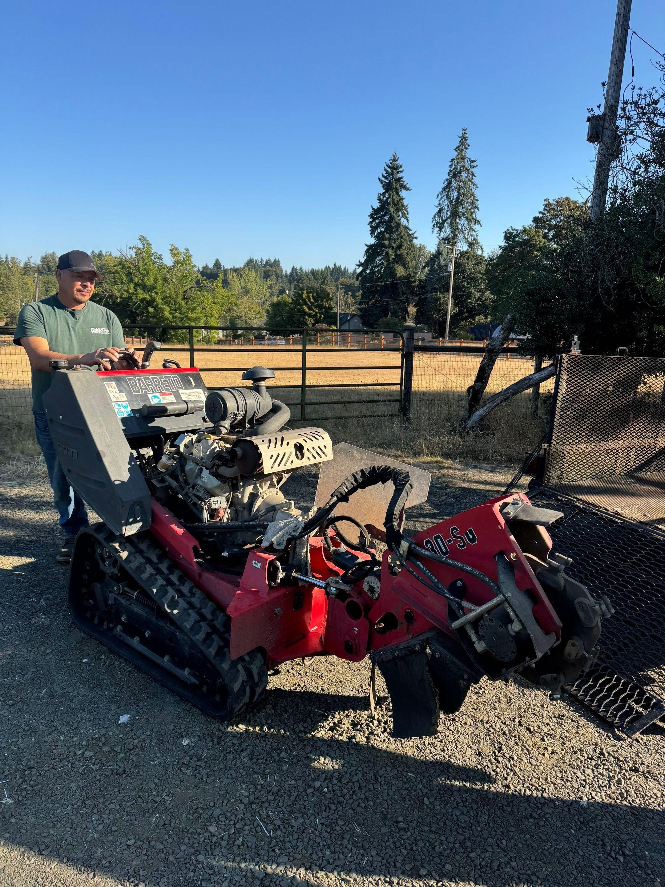  for Willamette Landscaping and Tree Services in Albany, OR
