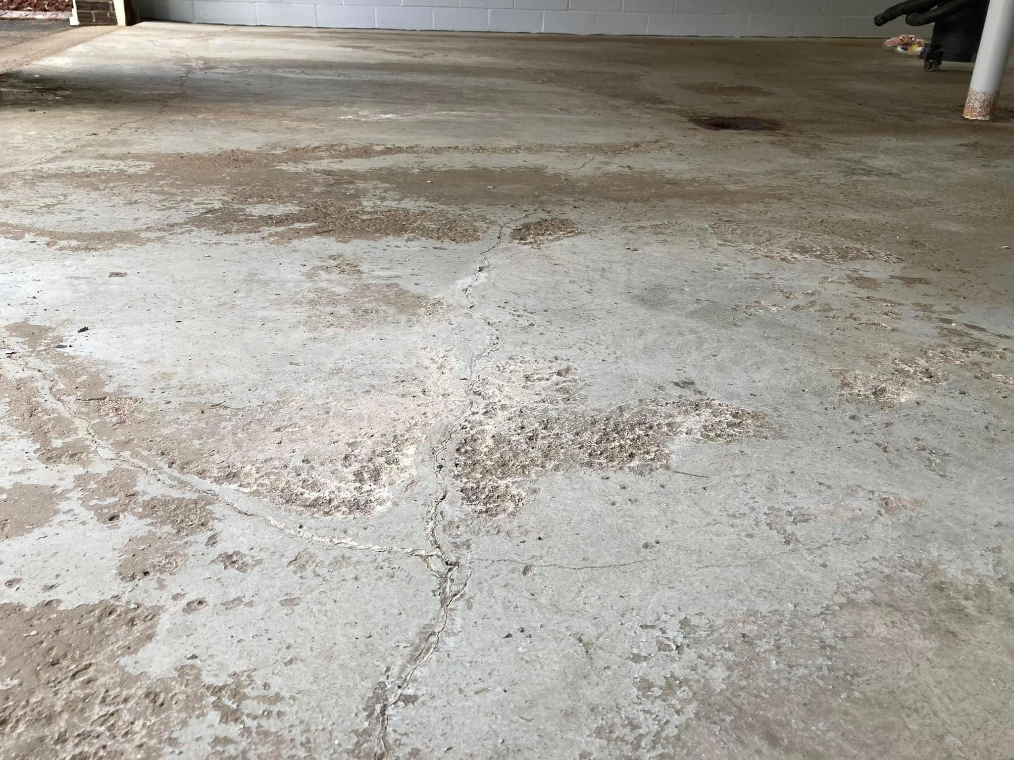  for Texas Curb N Borders in Houston, TX