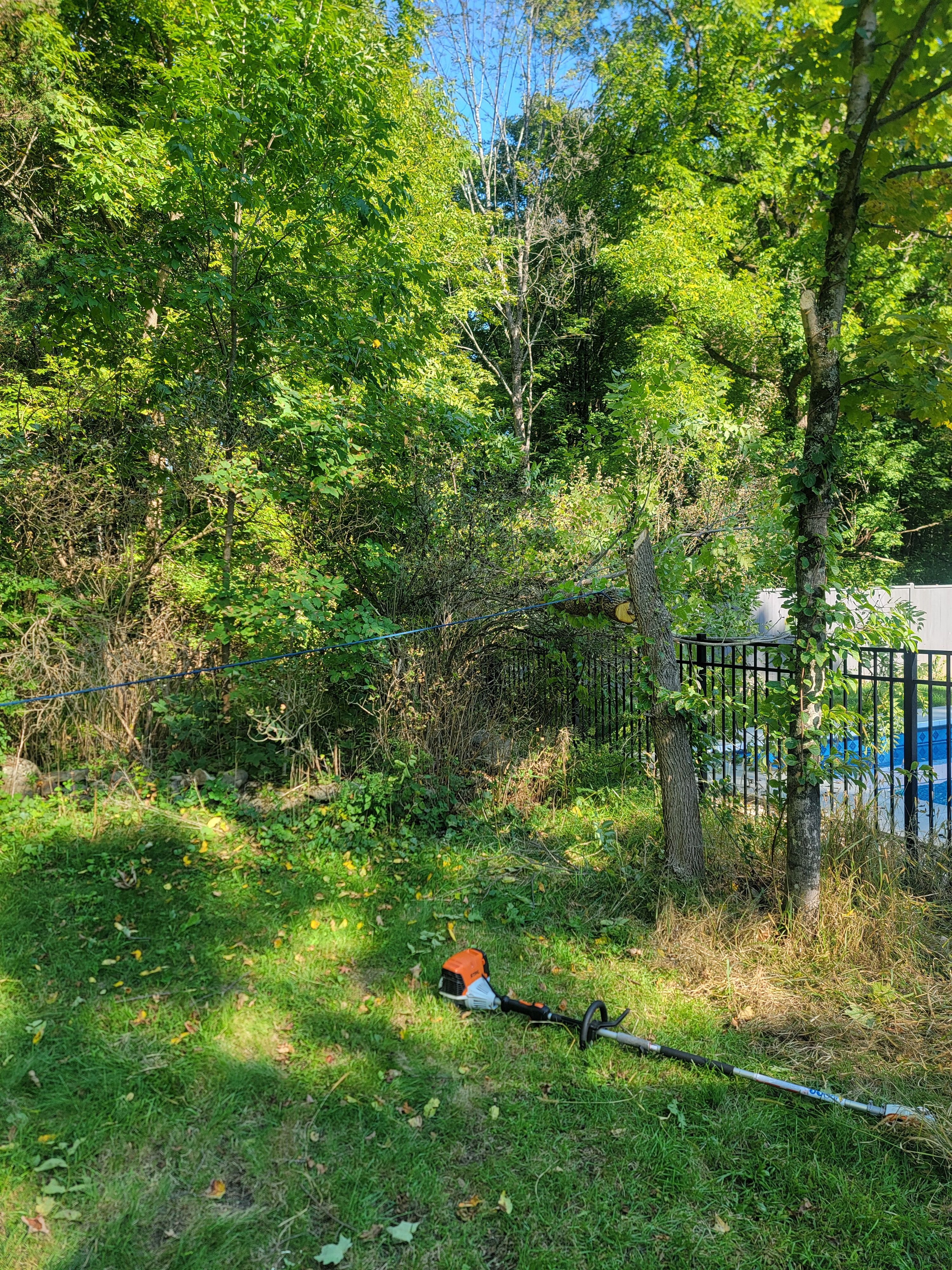  for Sweet Scapes in Ballston Spa, NY