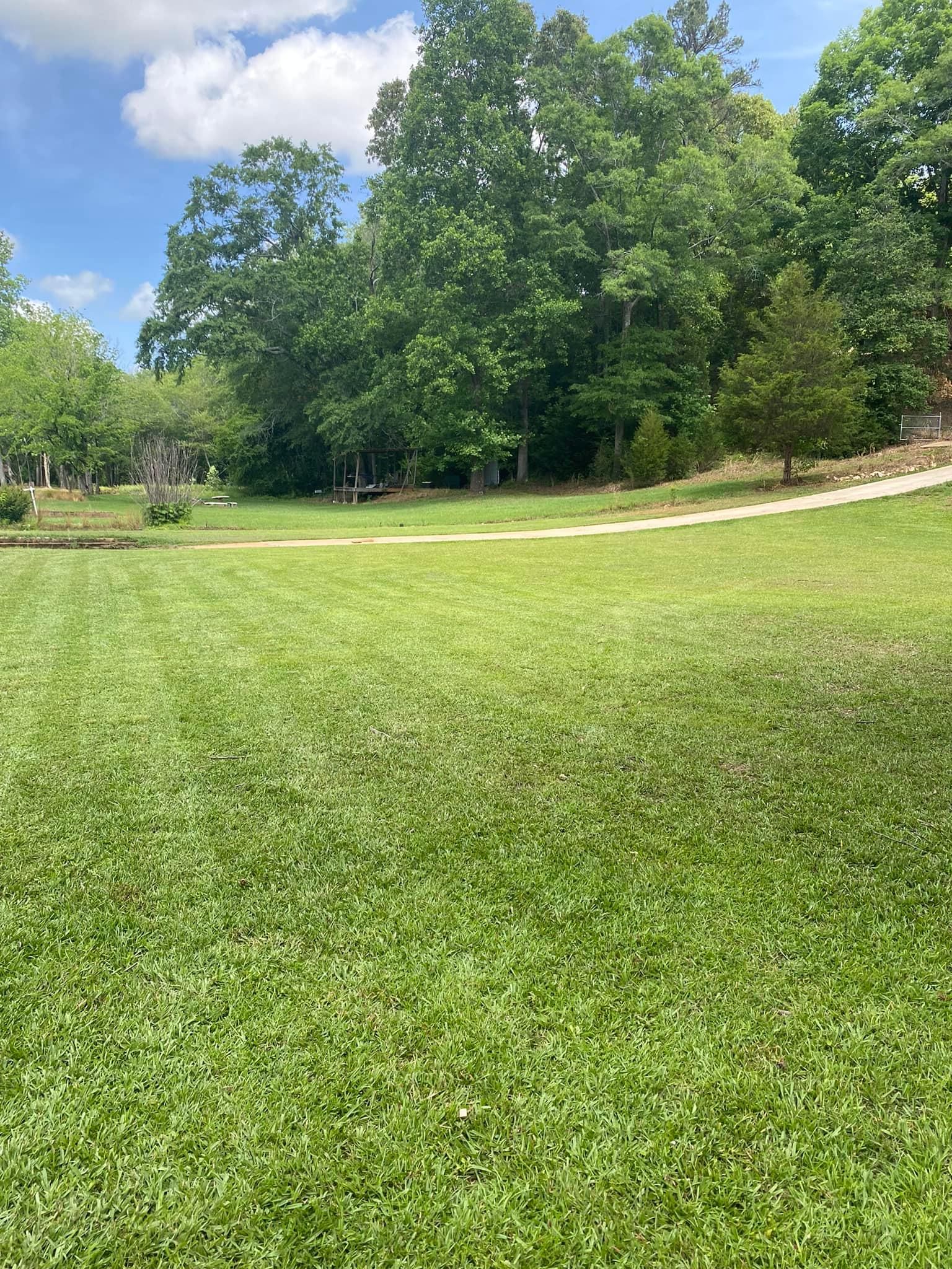 Mowing for Cowboys Lawn Care & Pressure/Soft Washing in Carrollton, Georgia