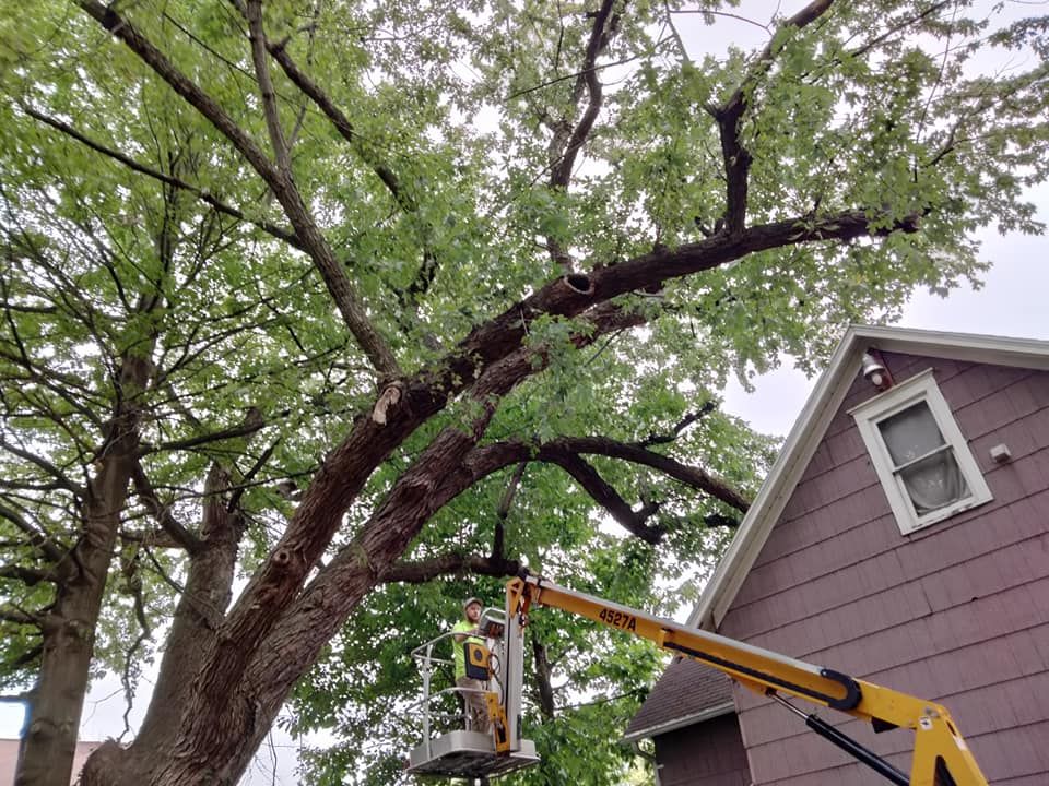  for Billiter's Tree Service, LLC in Rootstown, Ohio