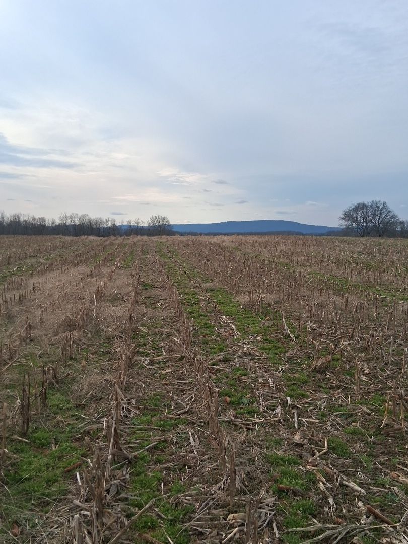  for Team Construction & Renovations in Lynchburg, TN