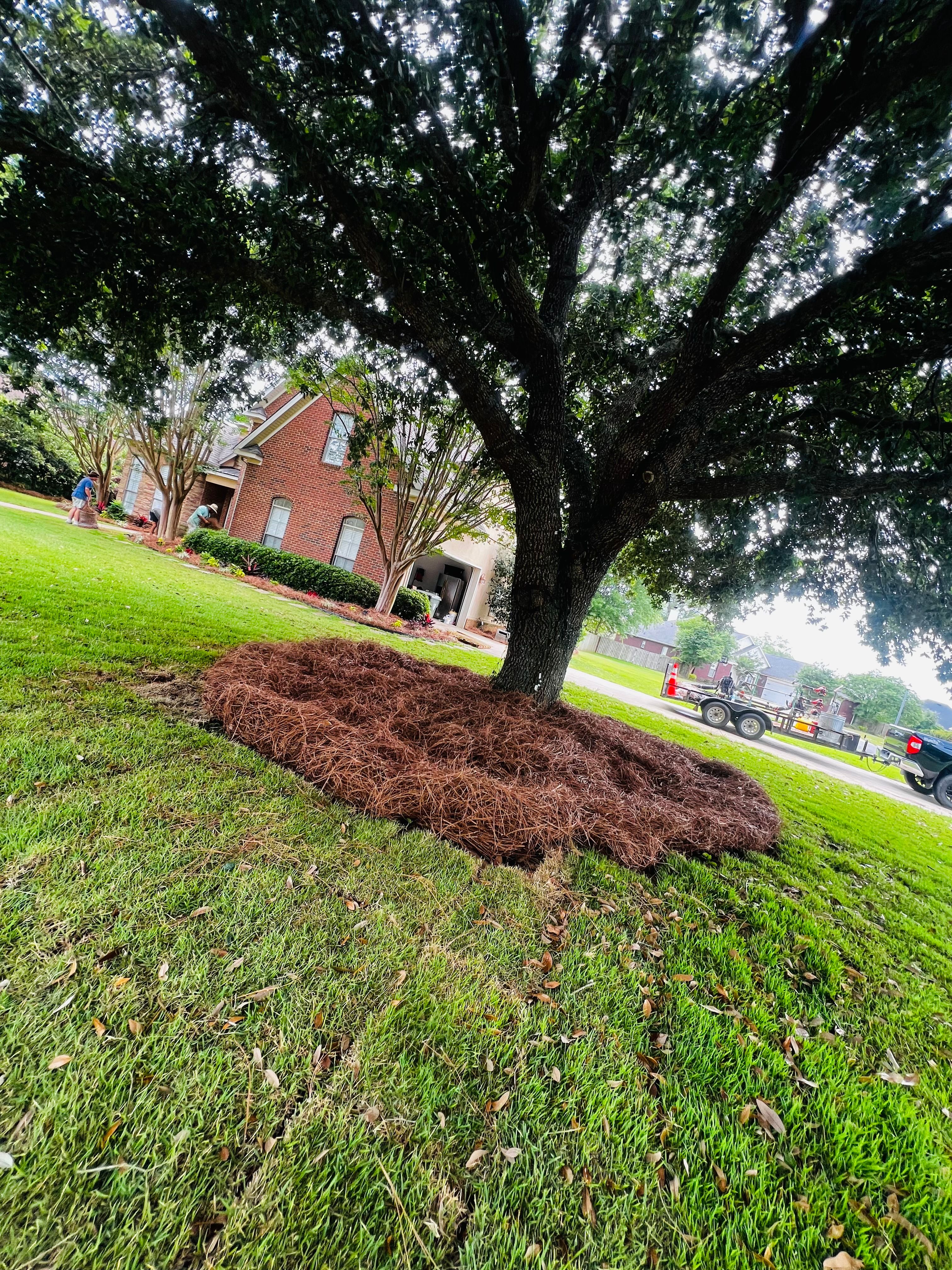  for Enhanced Landscape in Daphne, AL