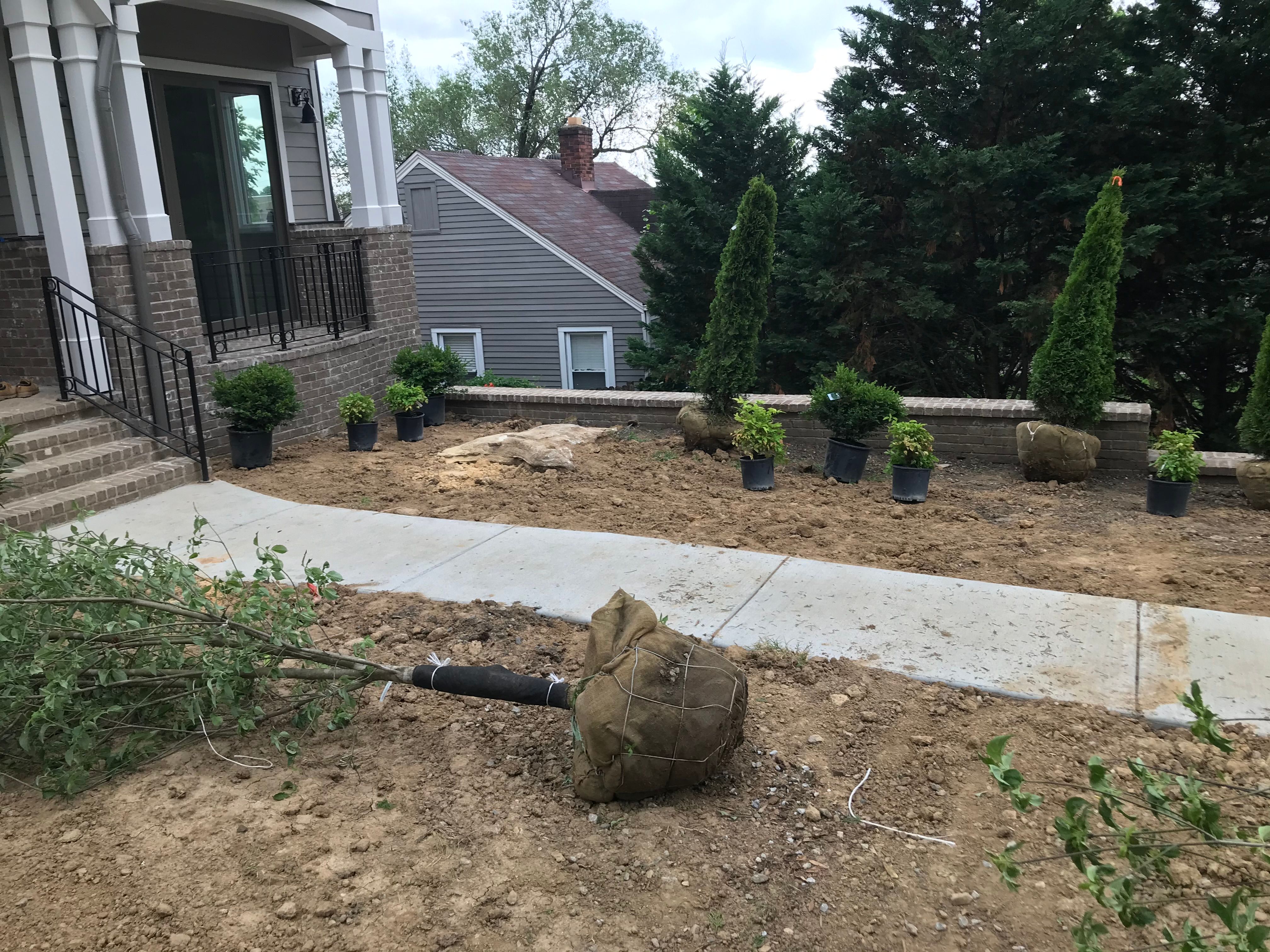  for Grass Management in Nashville, TN