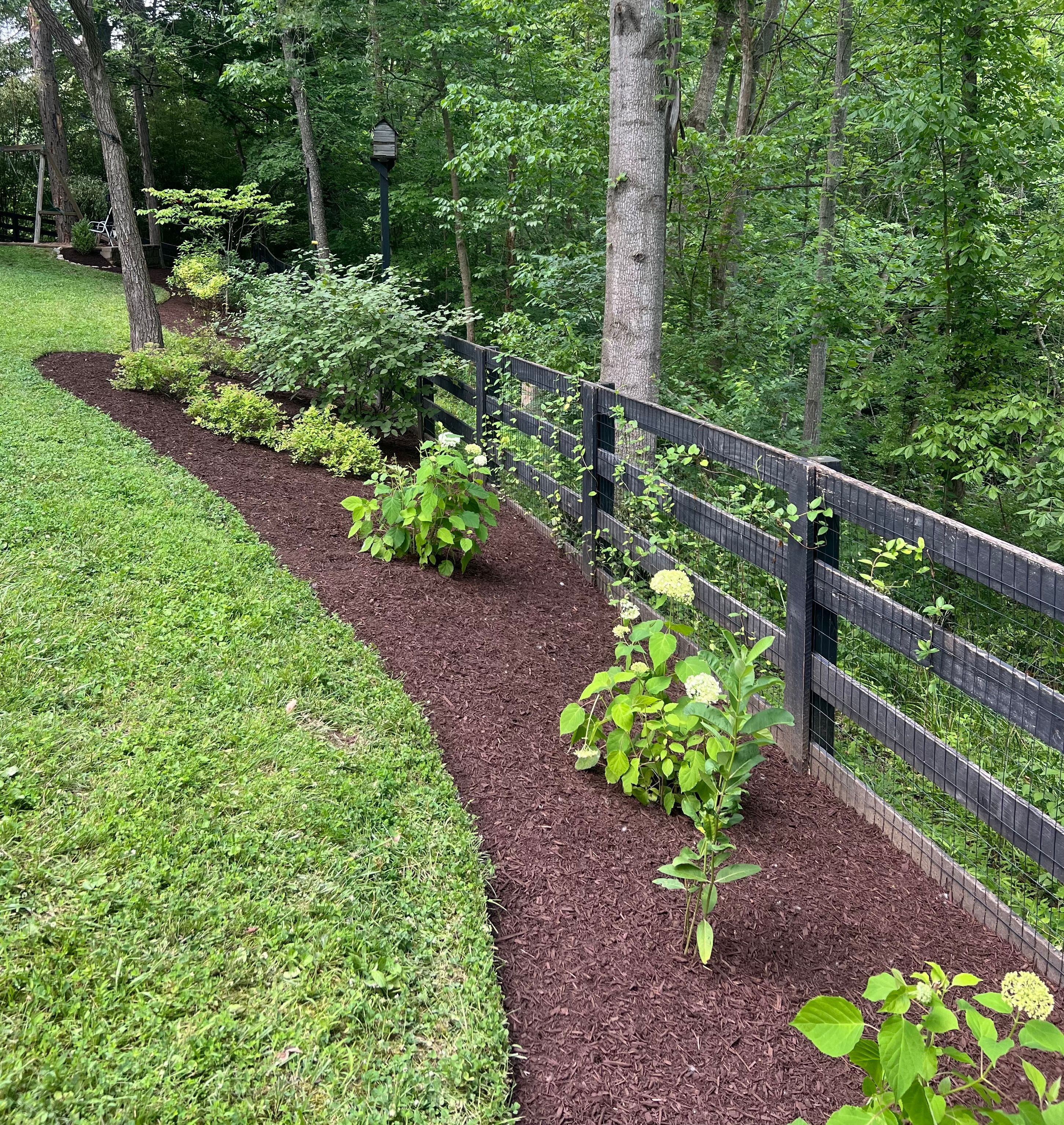  for Full Service Landscaping in Louisville, KY