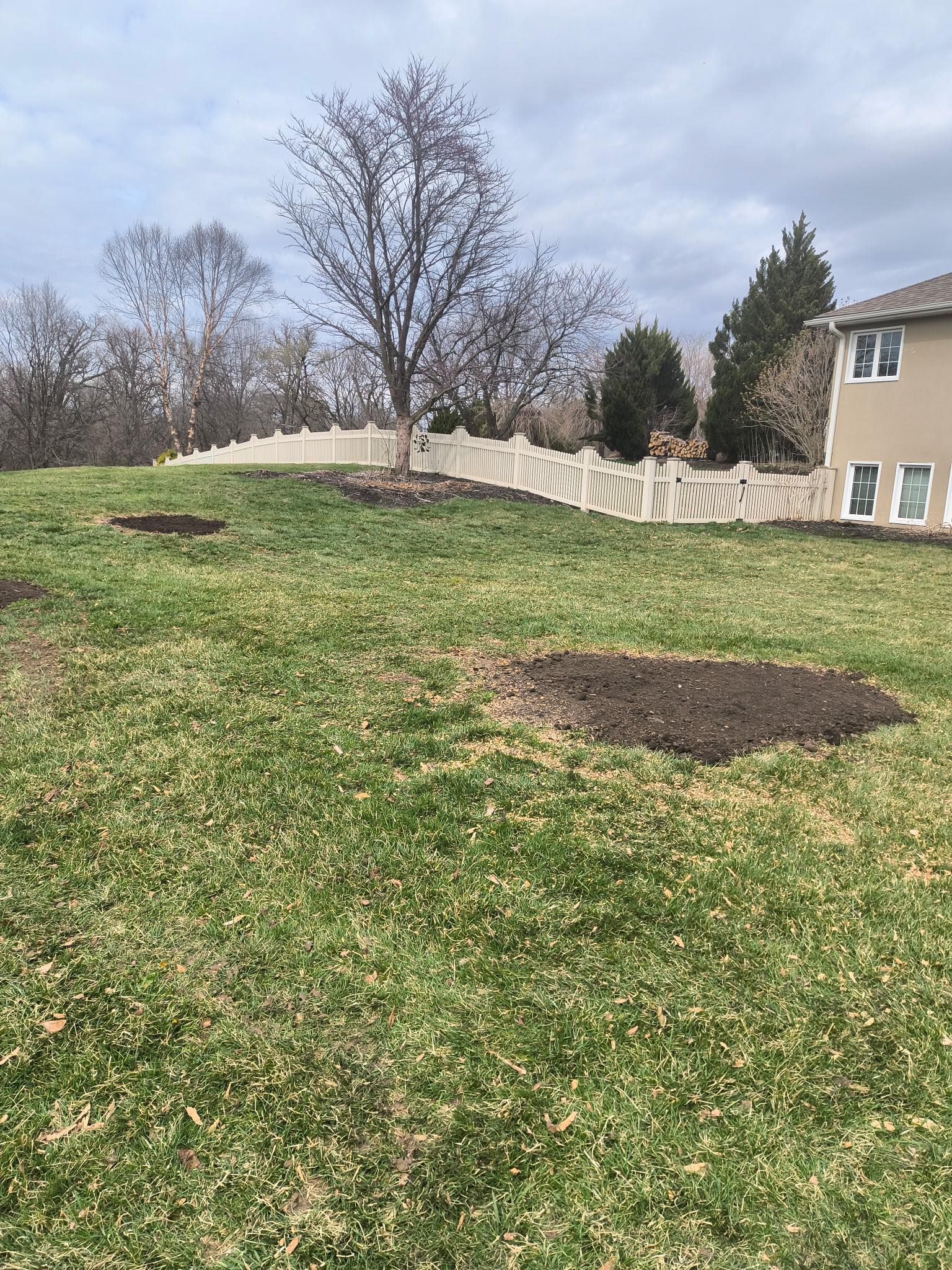 Tree Removal for Cross Family Tree Service in Kearney, MO
