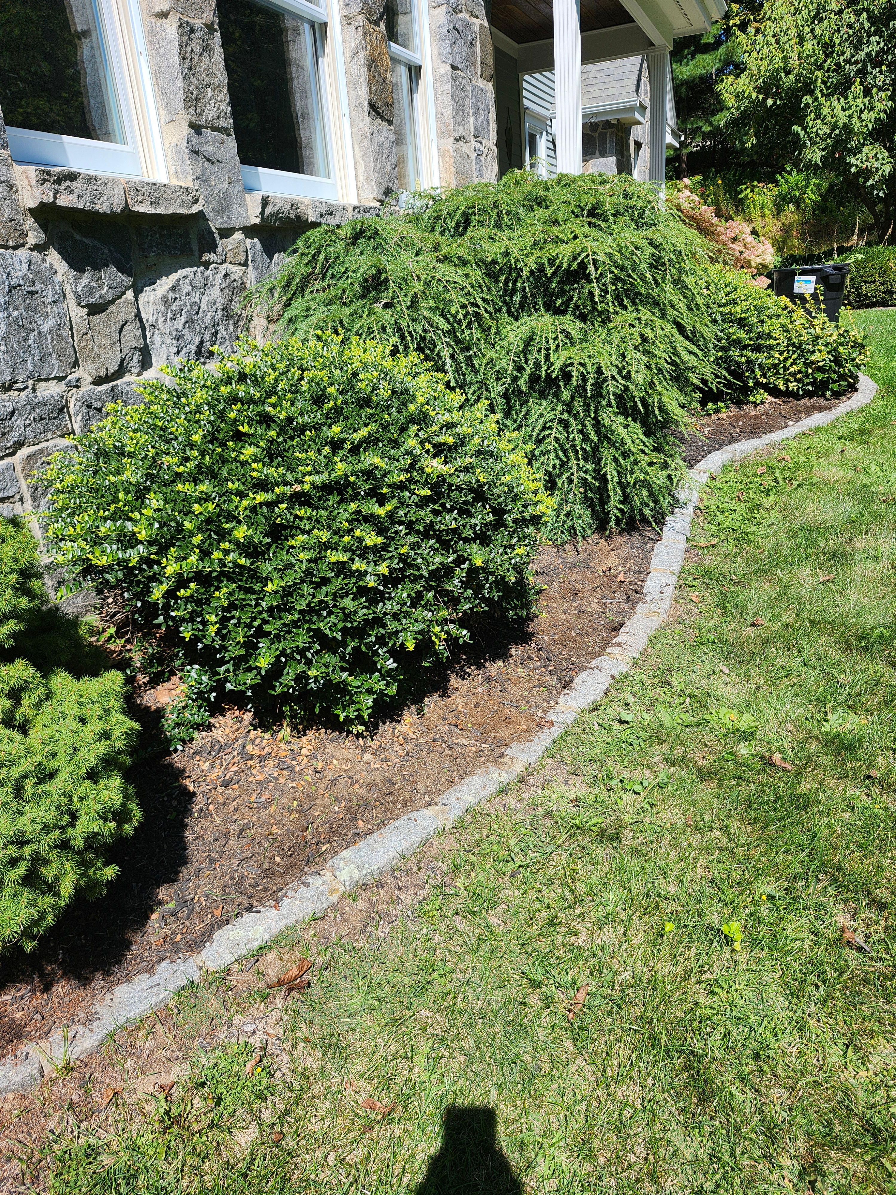 Muclhing & Weeding for Landscape Innovations LLC in Torrington, CT