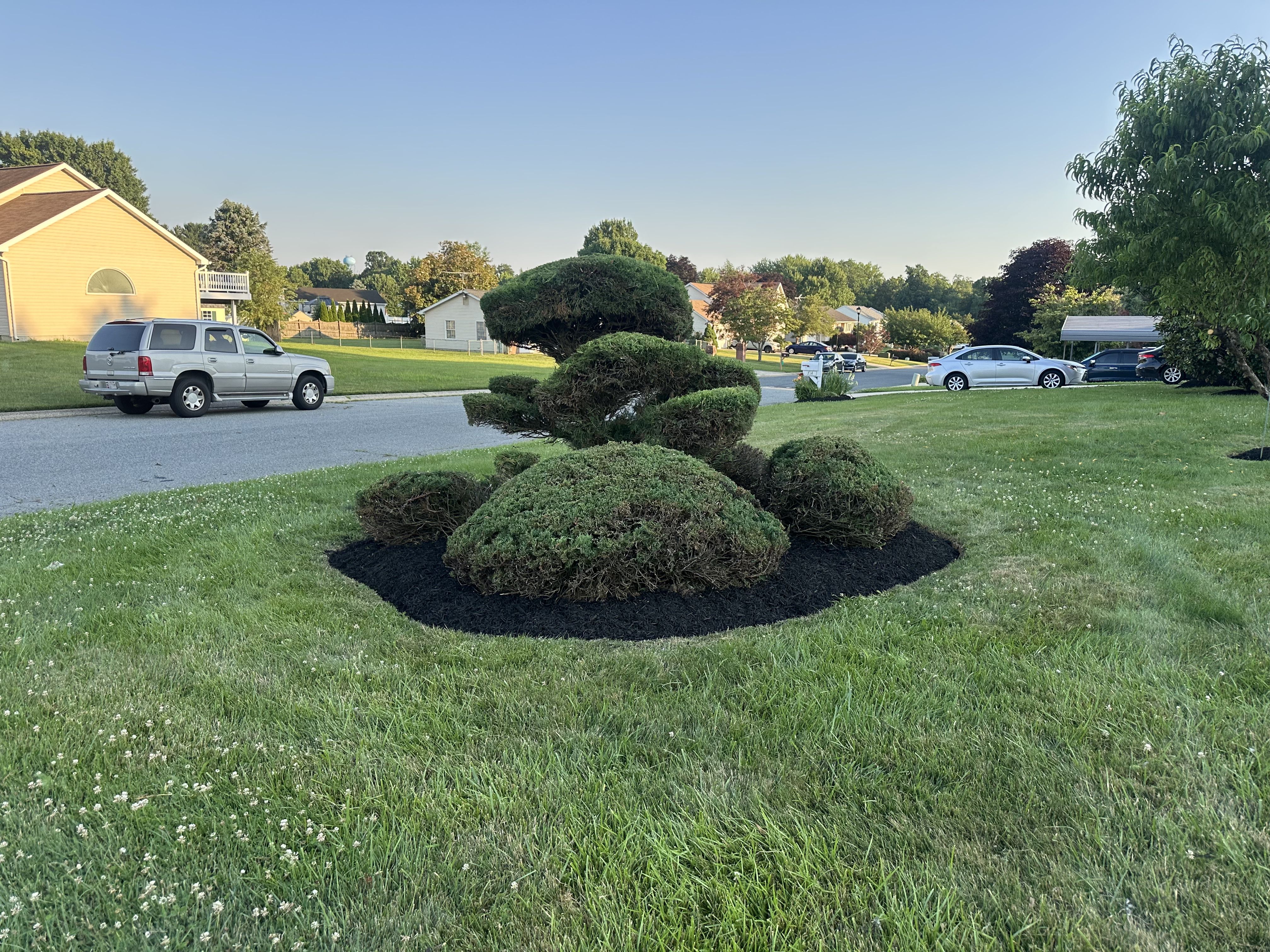 All Photos for A Better Lawn Service LLC in Bel Air, MD