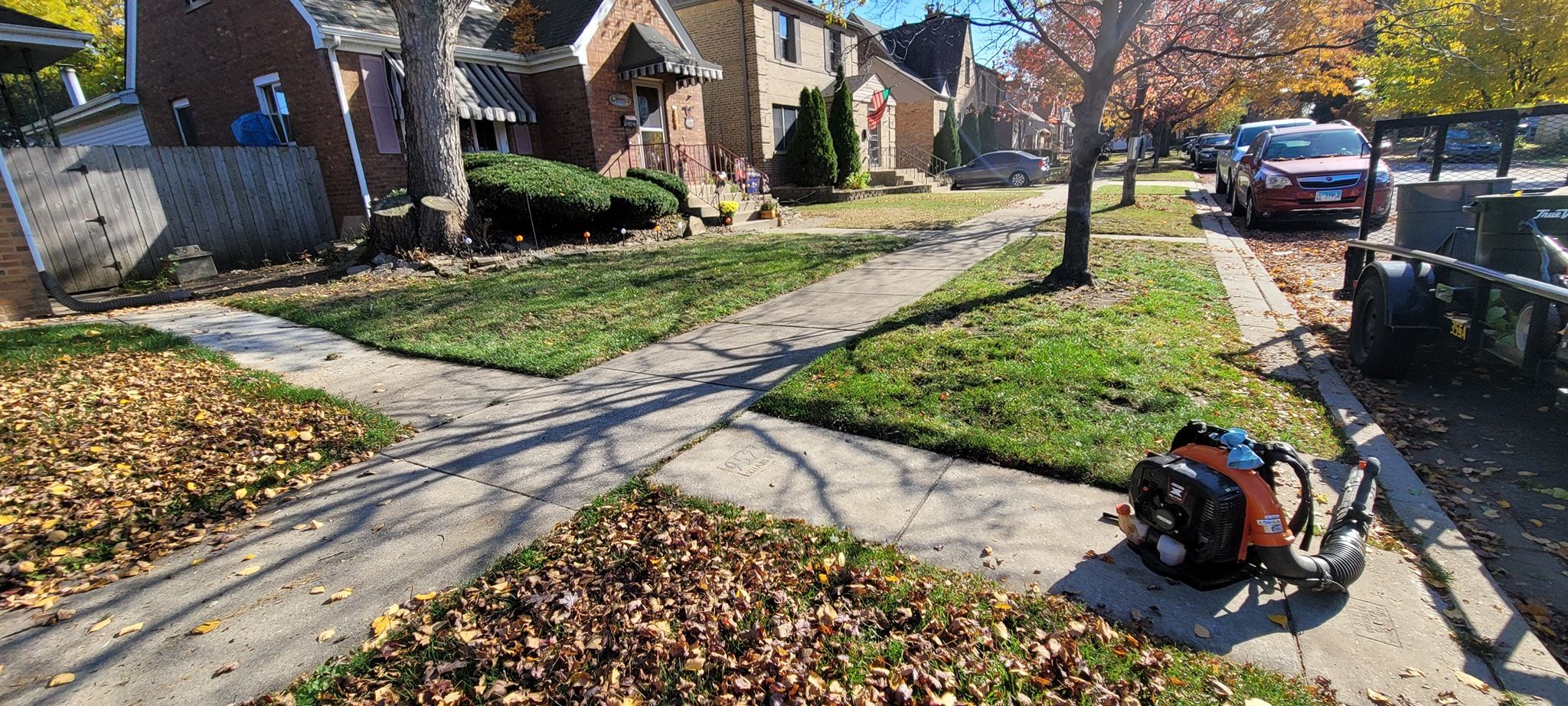Spring And Fall Cleanups for Sals Lawn and Landscape in Oak Lawn, IL