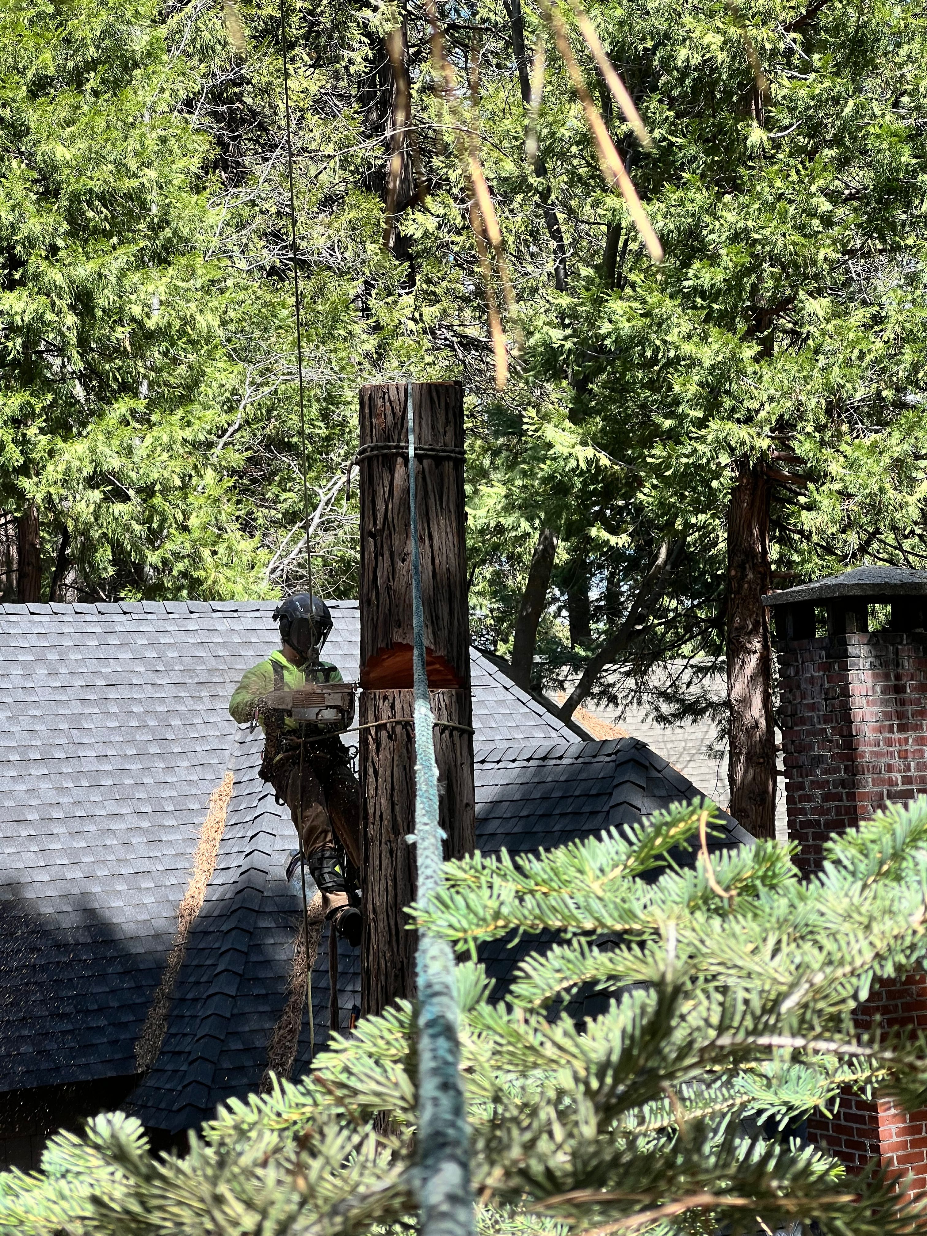  for Poseidon Valley Tree Service Corp in San Bernardino, CA