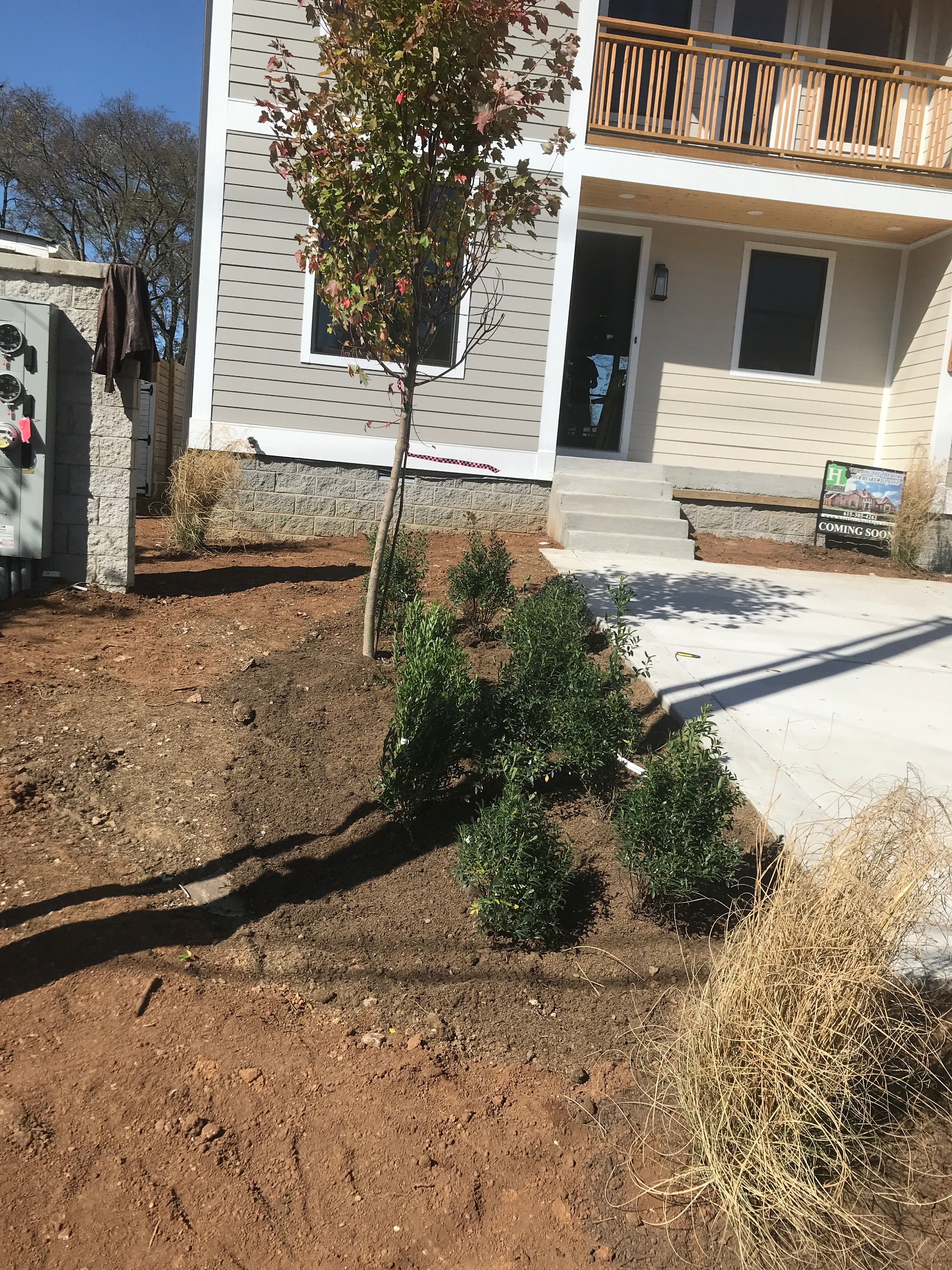  for Grass Management in Nashville, TN