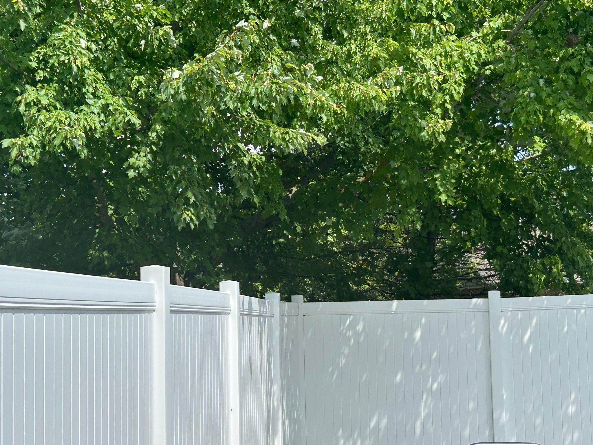  for Bearforce Lawn Care LLC in Greenfield, IN