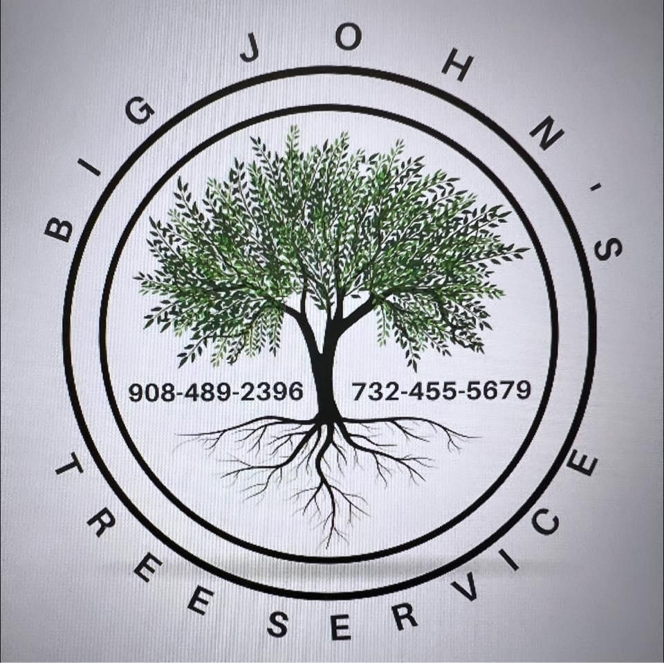  for Big John's Tree Service LLC in Monmouth County,  NJ 