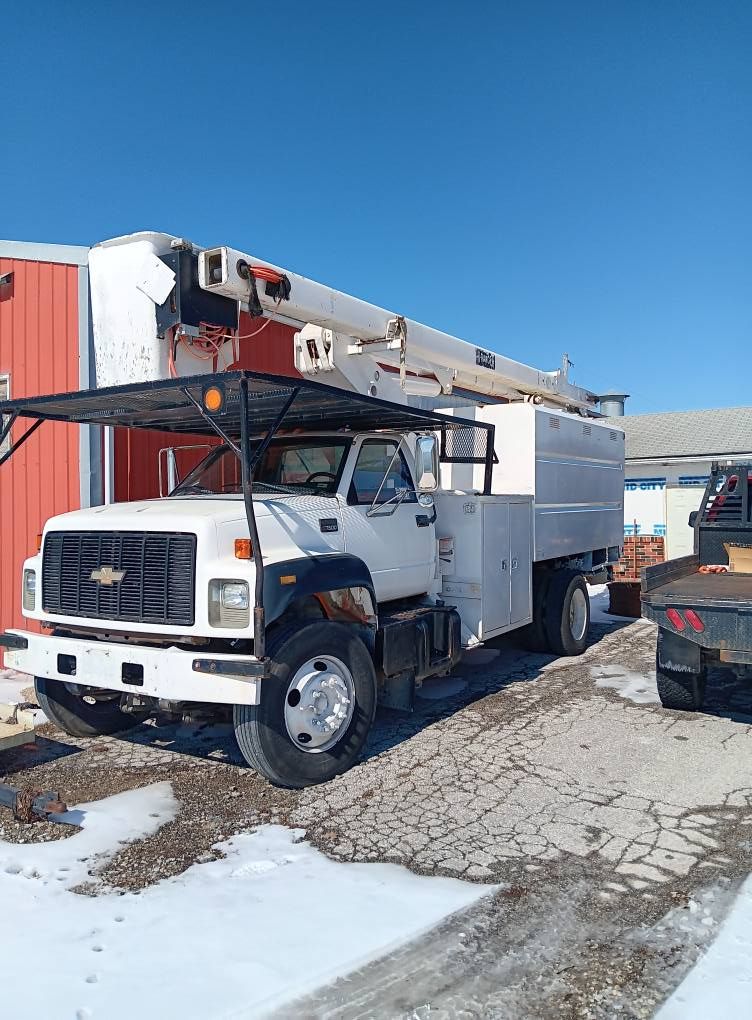  for Sky High Tree Service in Columbia, MO