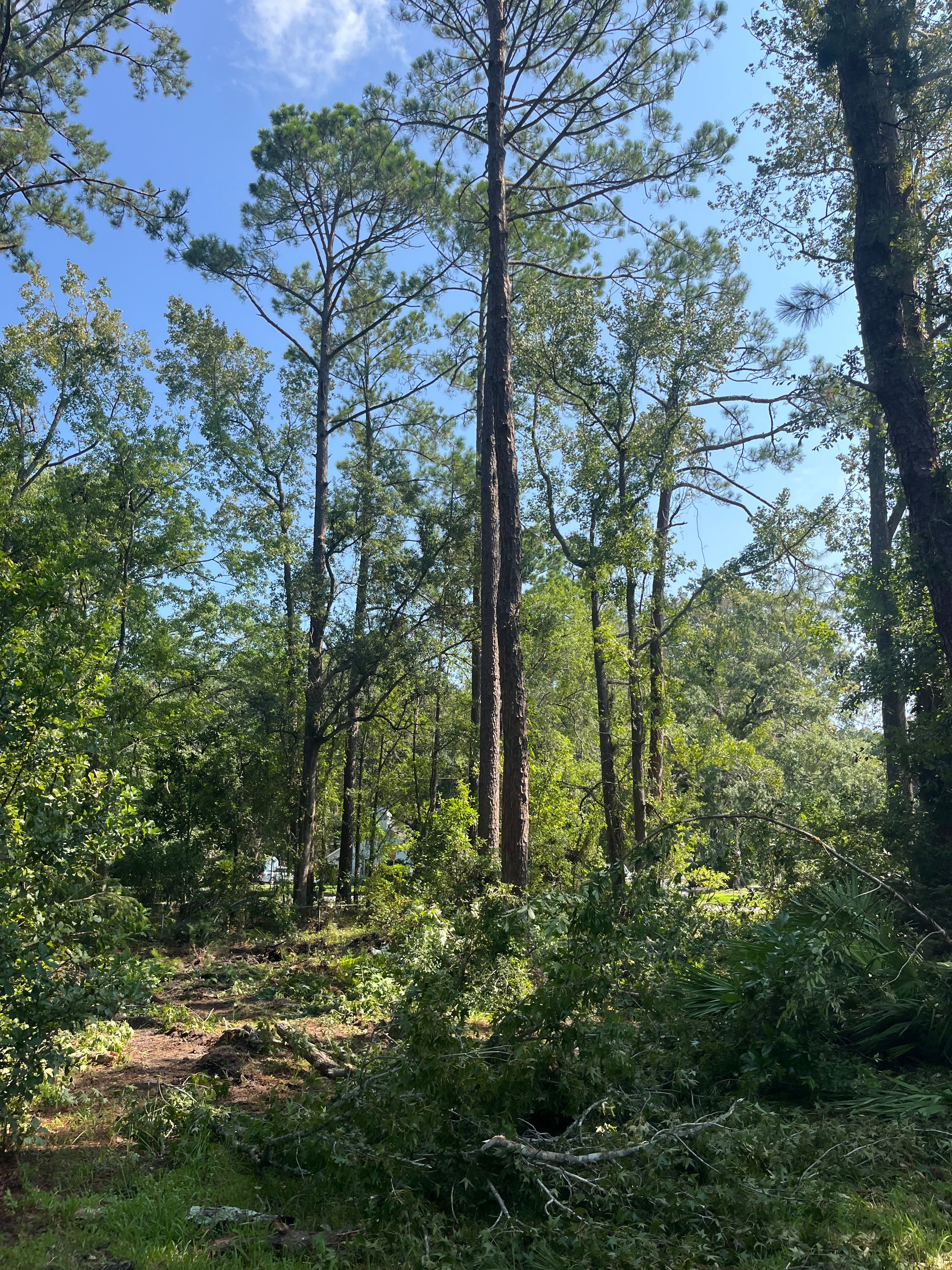 All Photos for Diamond B Earthworks in Camden County, GA