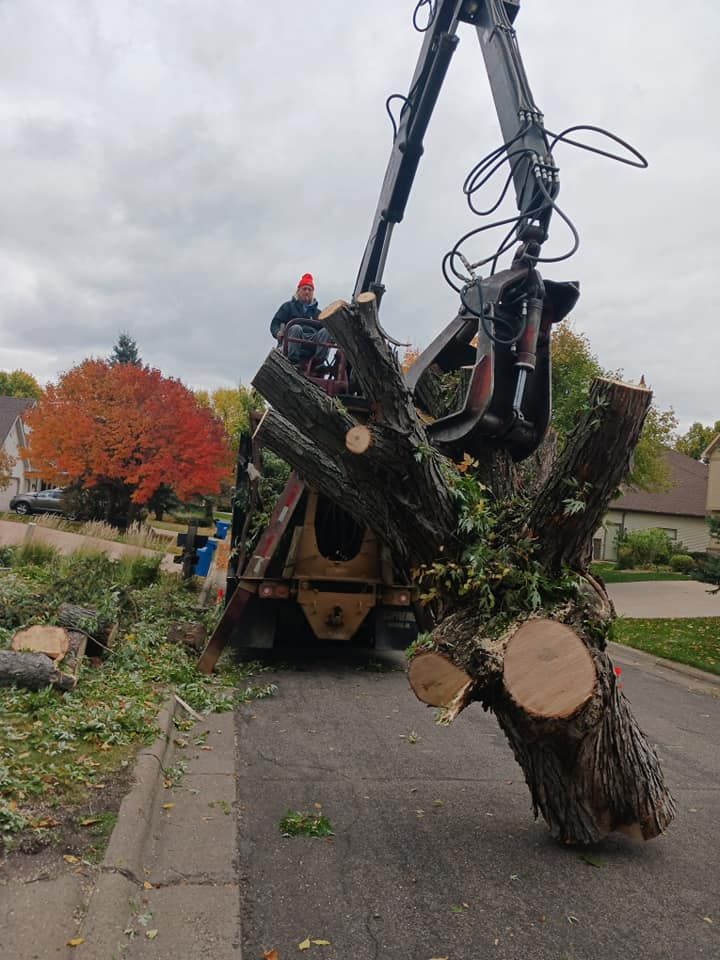 Tree Removal for Buffalo Family Tree Care in Buffalo, MN