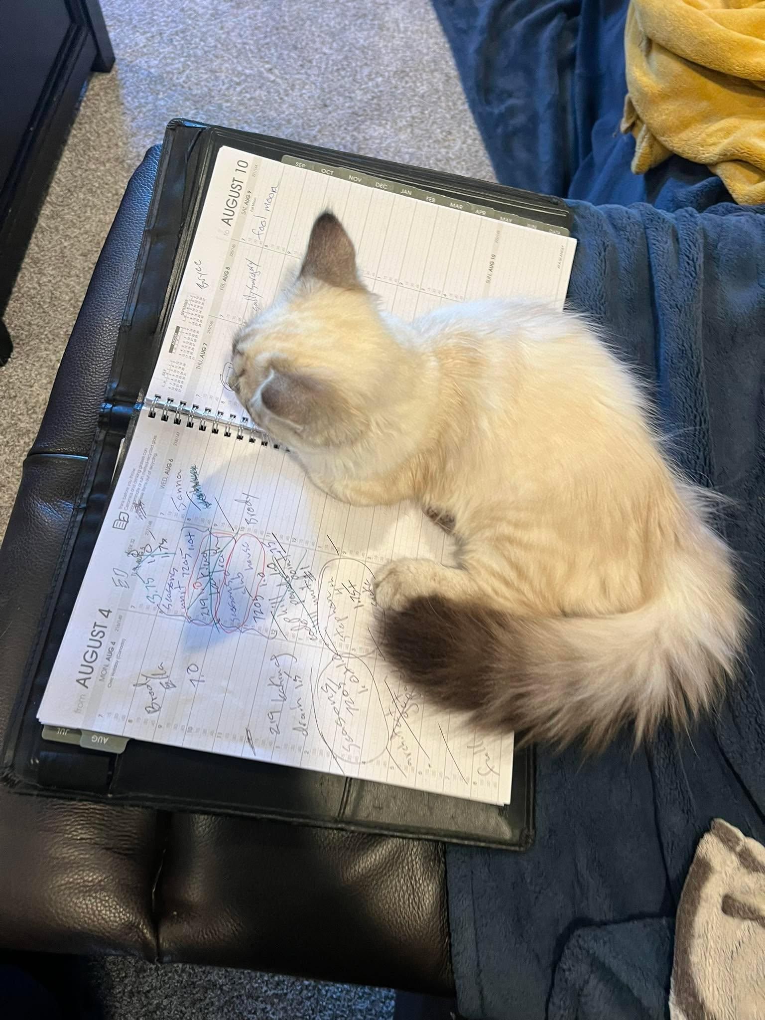  for V.I.P Plumbing in Sandpoint, ID