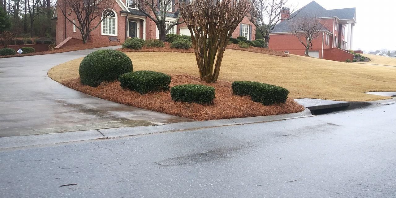 All Photos for BAM Another Pinestraw Lot in Flowery Branch, GA
