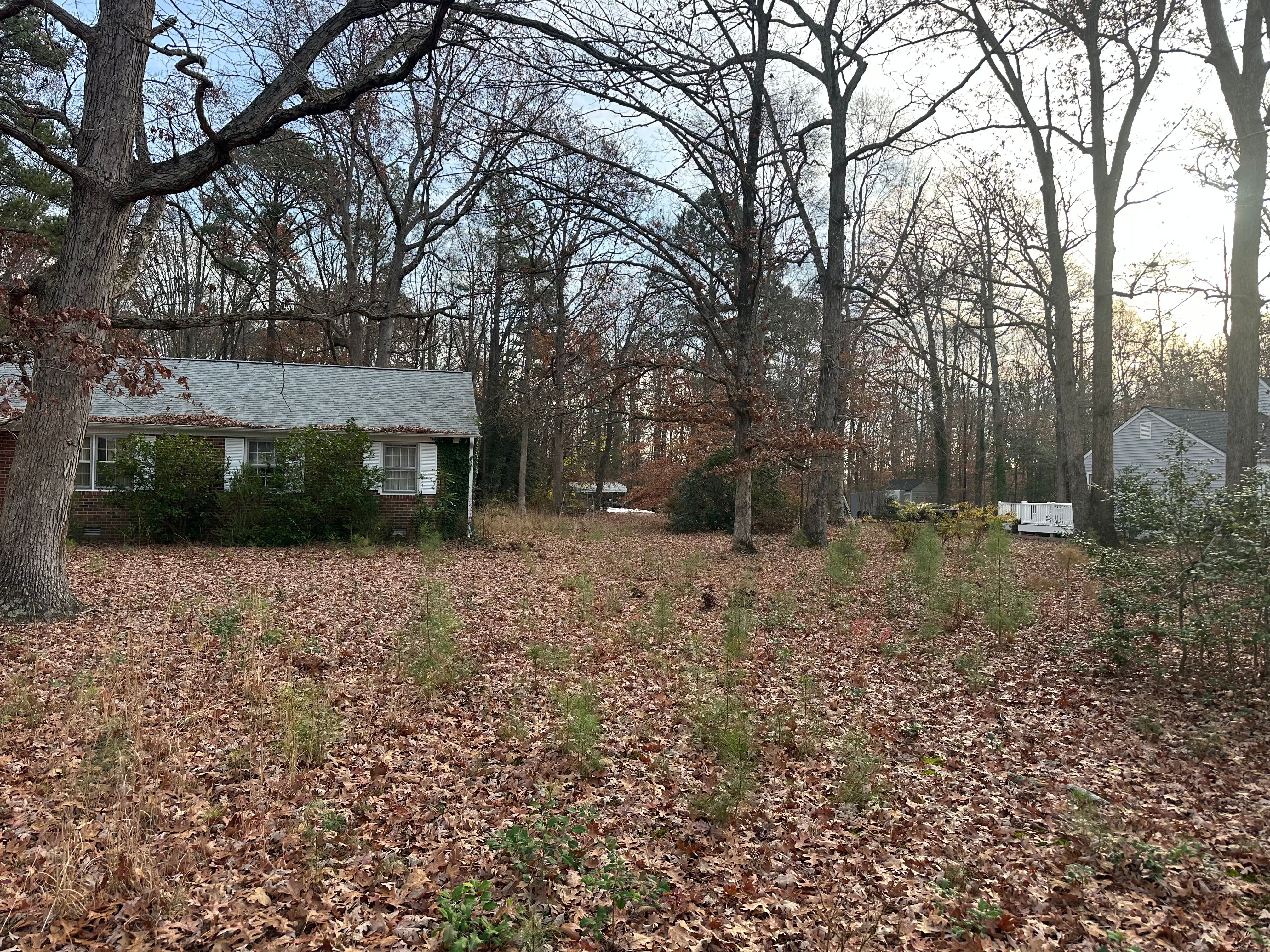  for Atlas Home Services in Mechanicsville, VA