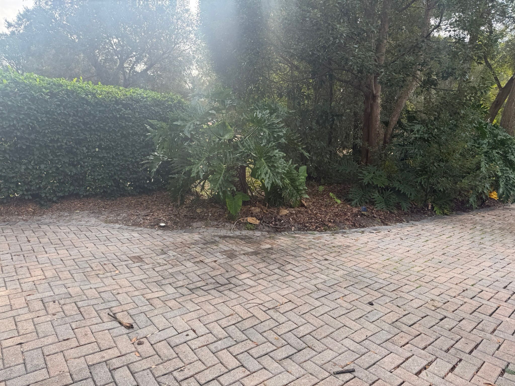  for Amerigrown Tree And Lawn in Apopka, FL