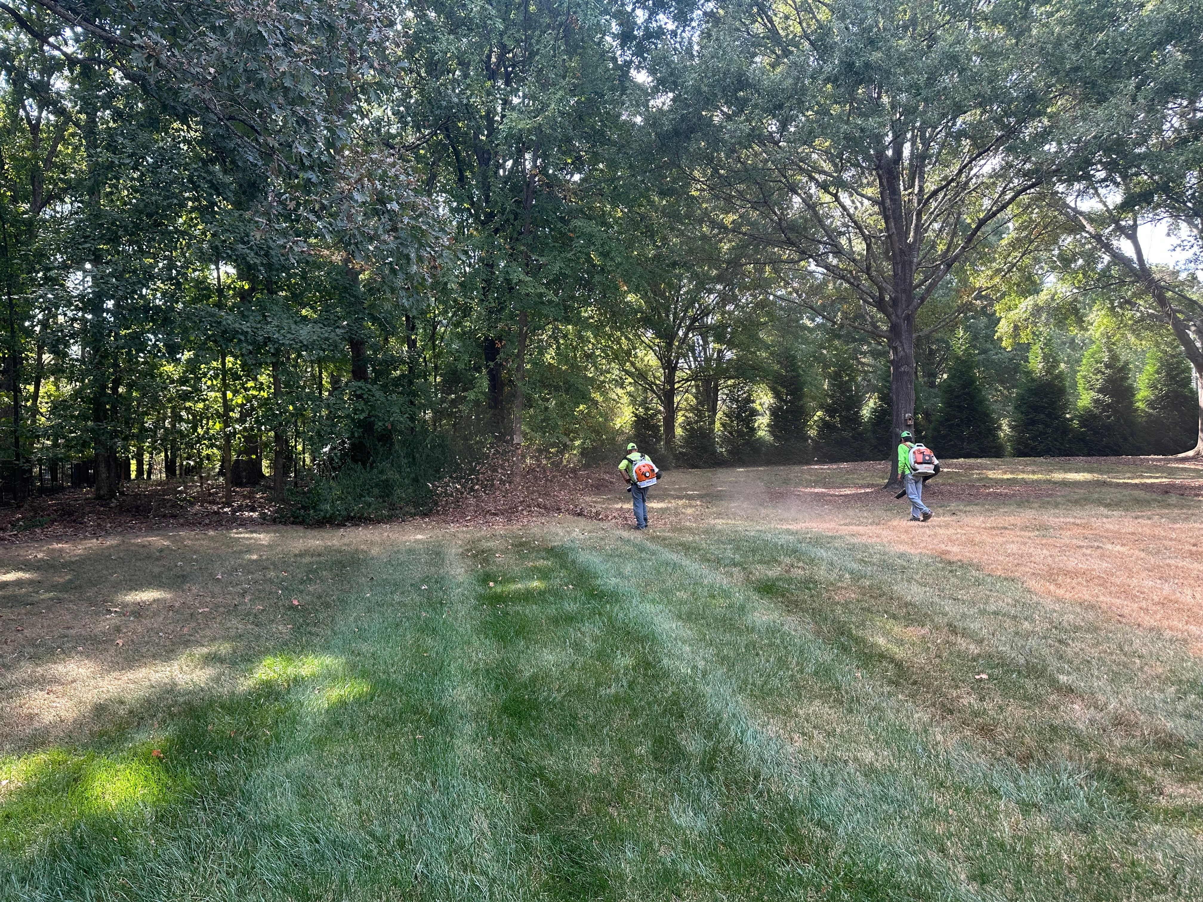  for Pecina Pine Needles in Monroe, NC