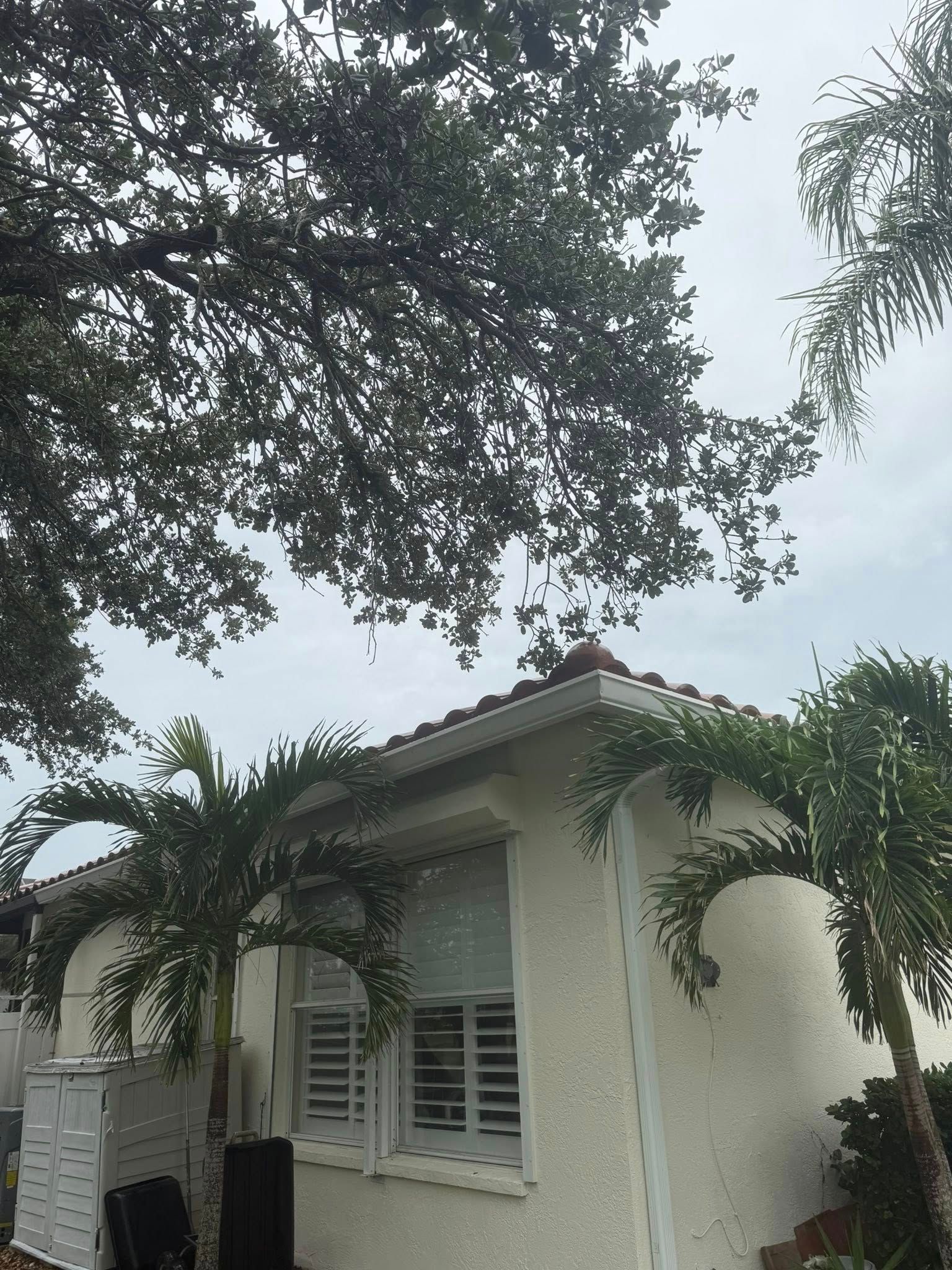  for Damian’s Tree Care in Sarasota, FL