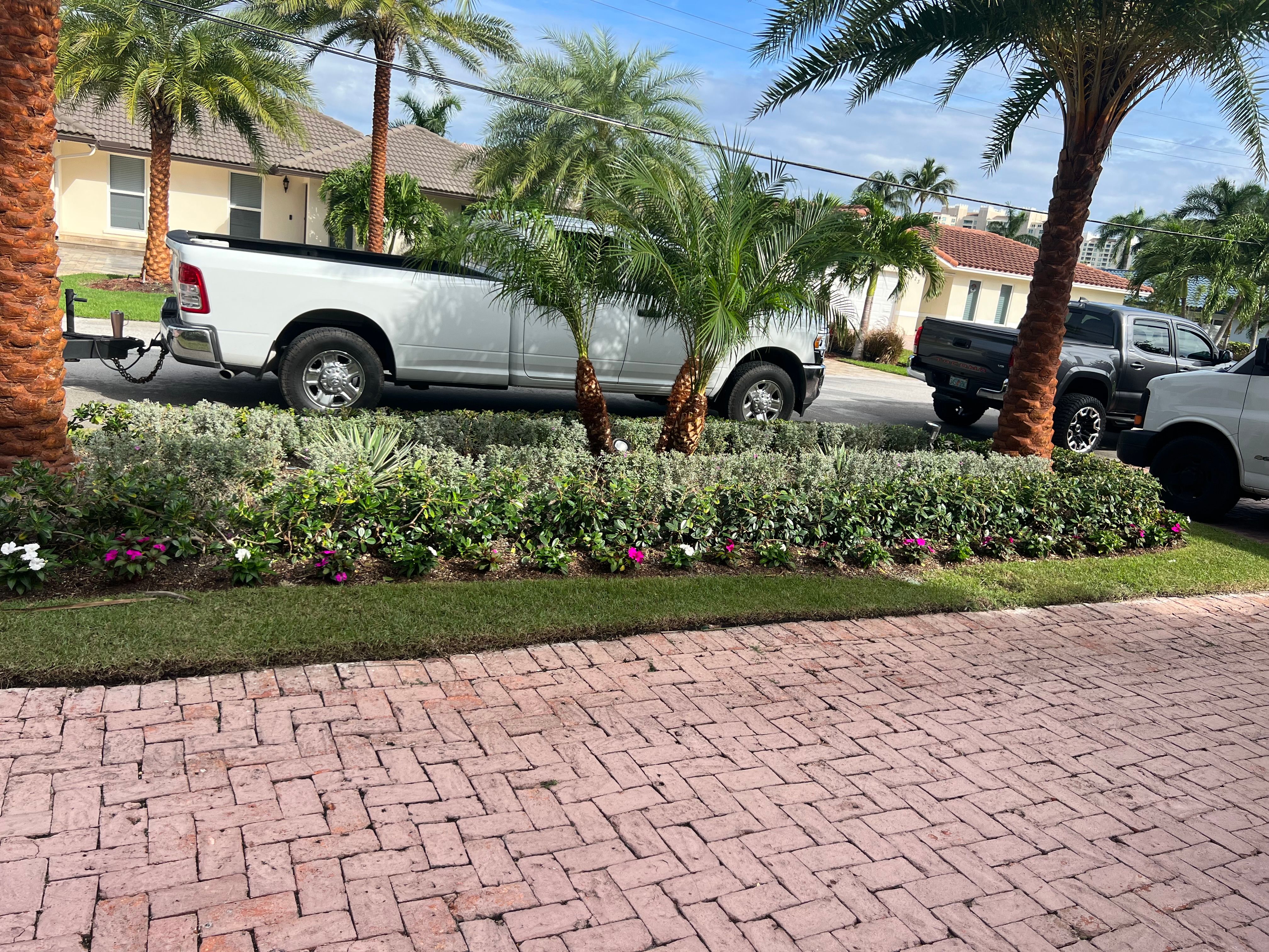 All Photos for An Extravagant Landscape & Lawn Service in Delray, FL