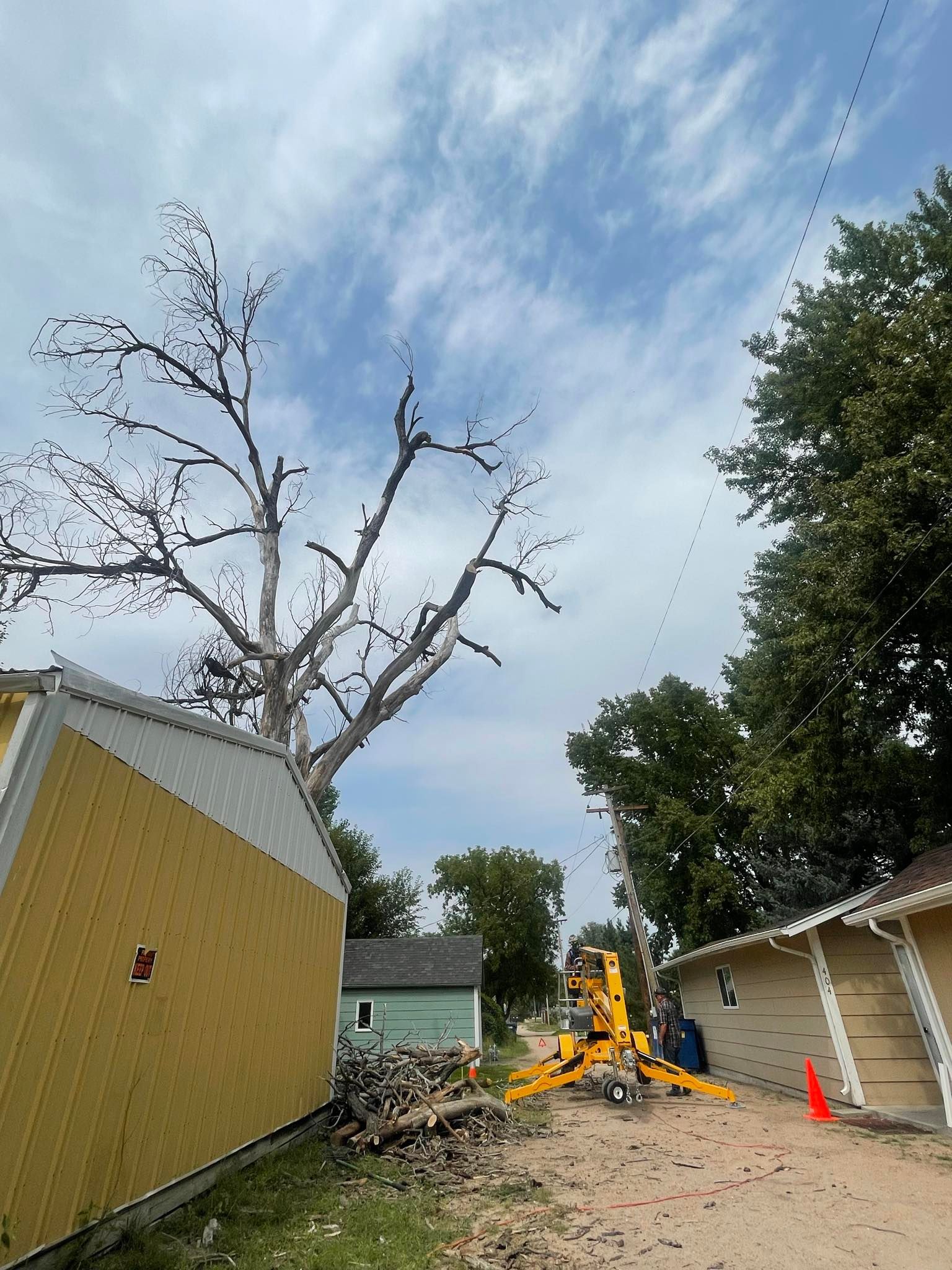 Brush & Tree Removal for M&N Fencing in Crook, CO
