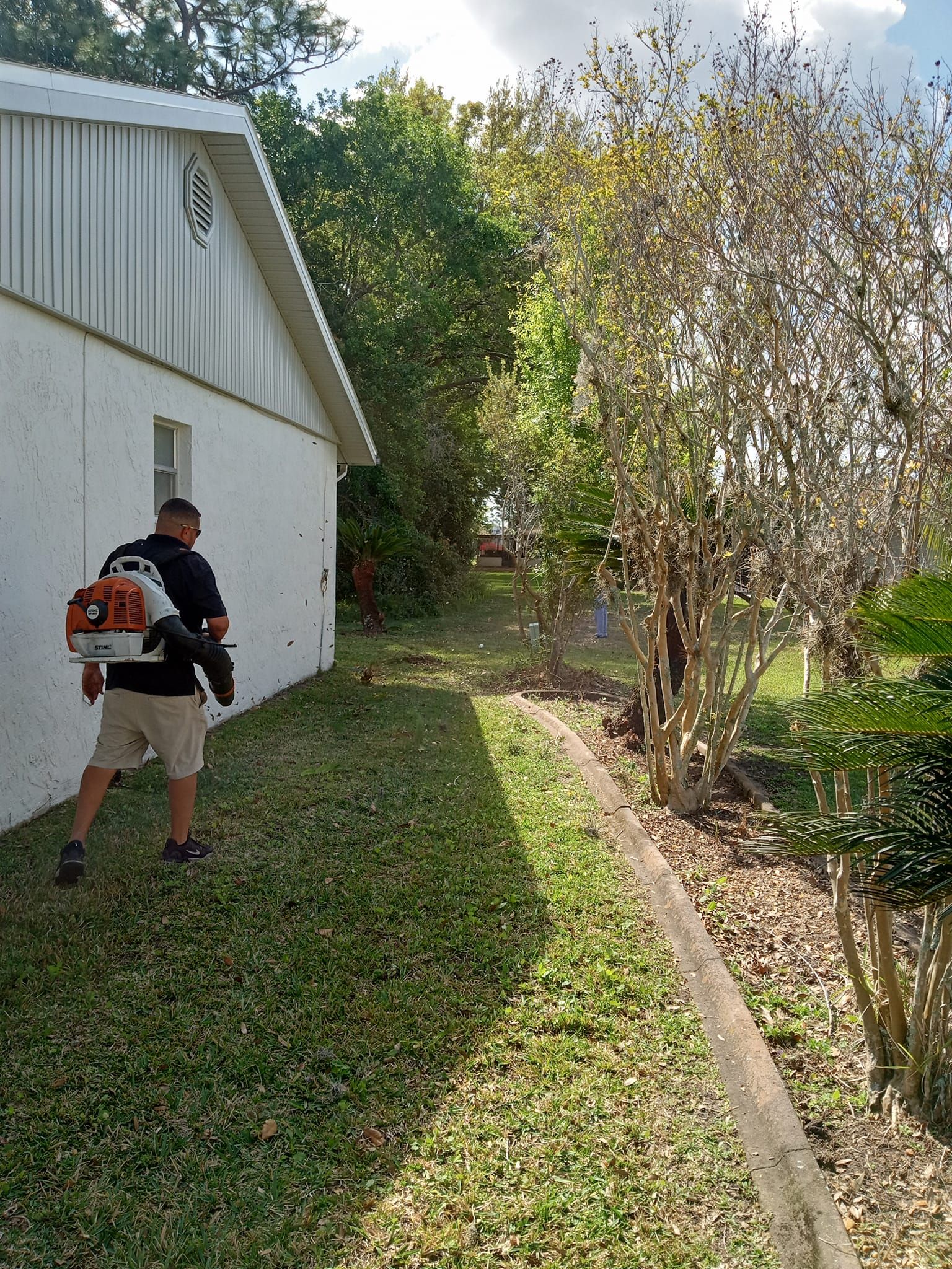  for A Southern Style Tree Service in Orlando, FL