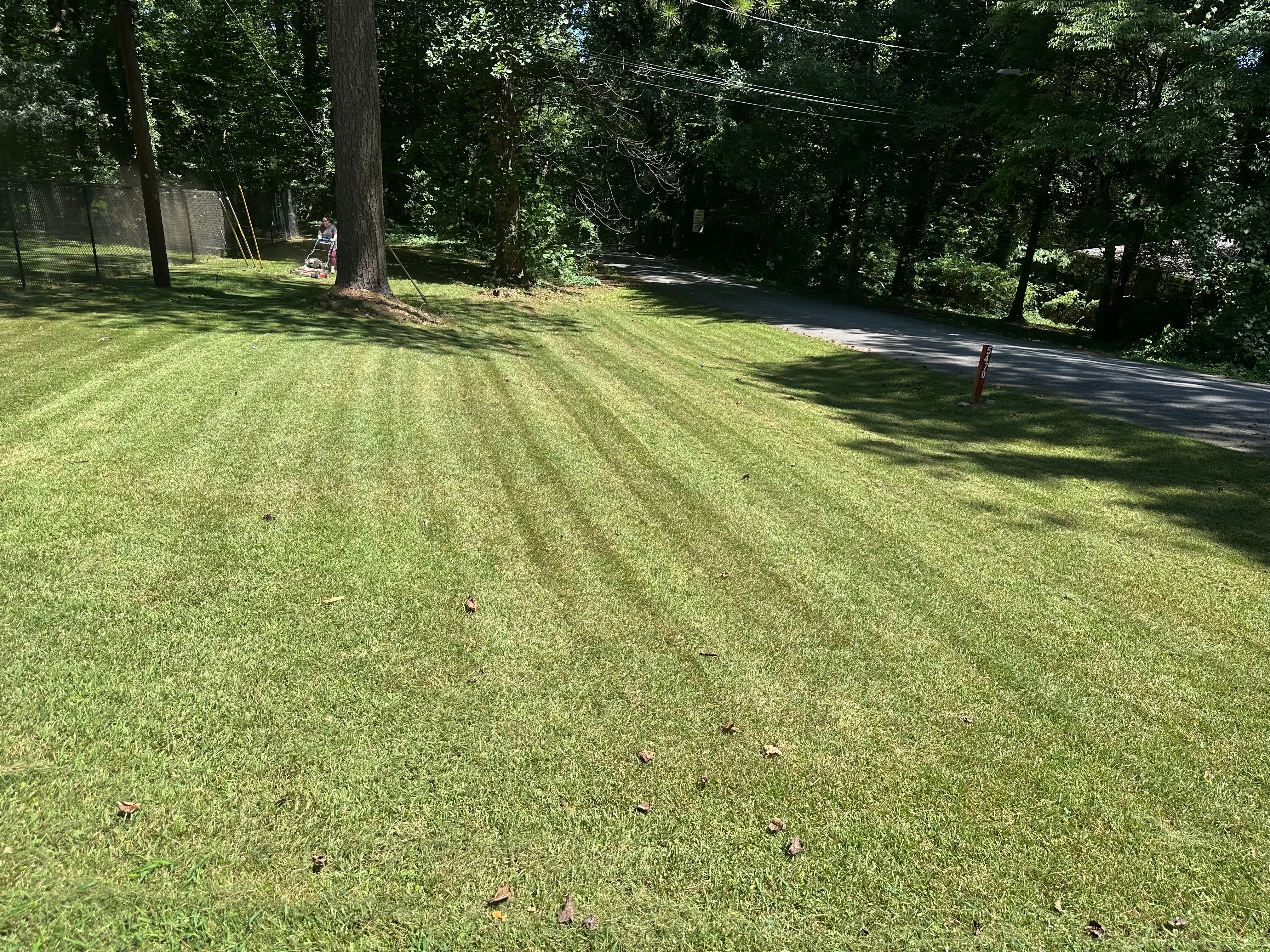  for Williams Brothers Landscaping & Construction in Atlanta, GA